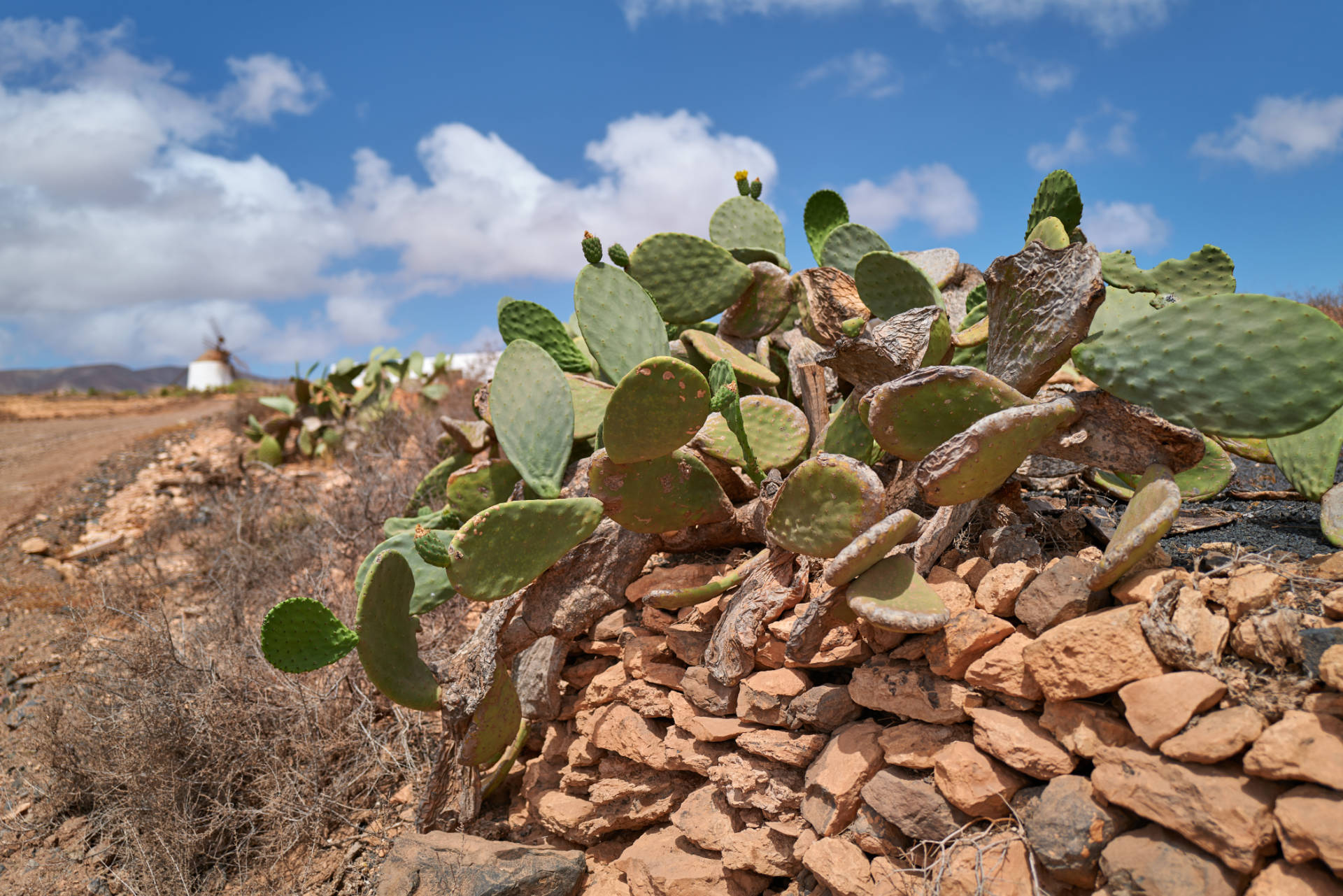 Der Ort Llanos de la Concepción Fuerteventura.