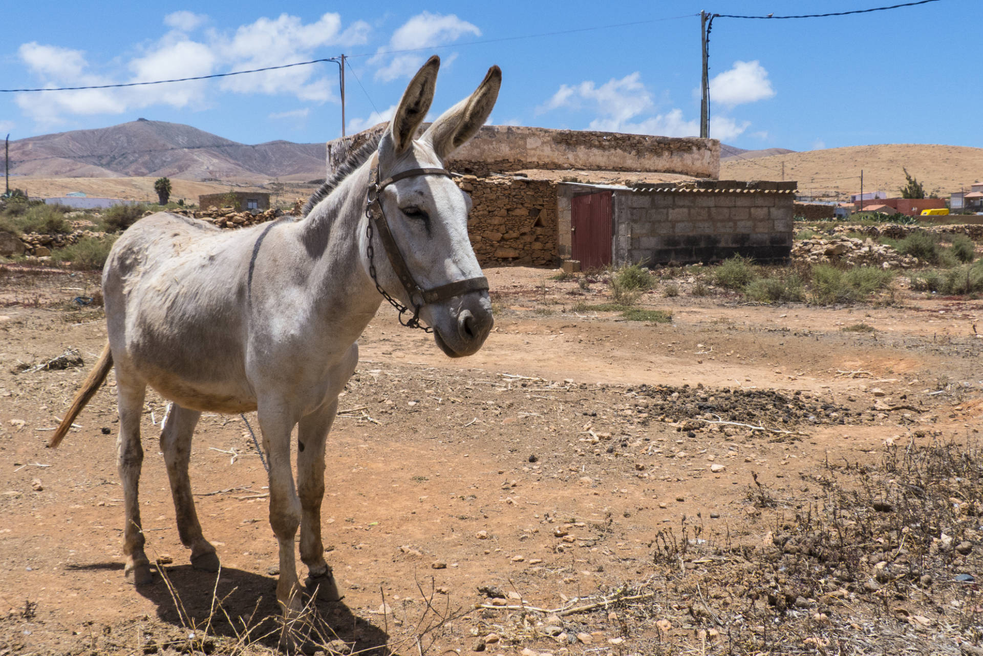 Der Ort Llanos de la Concepción Fuerteventura.