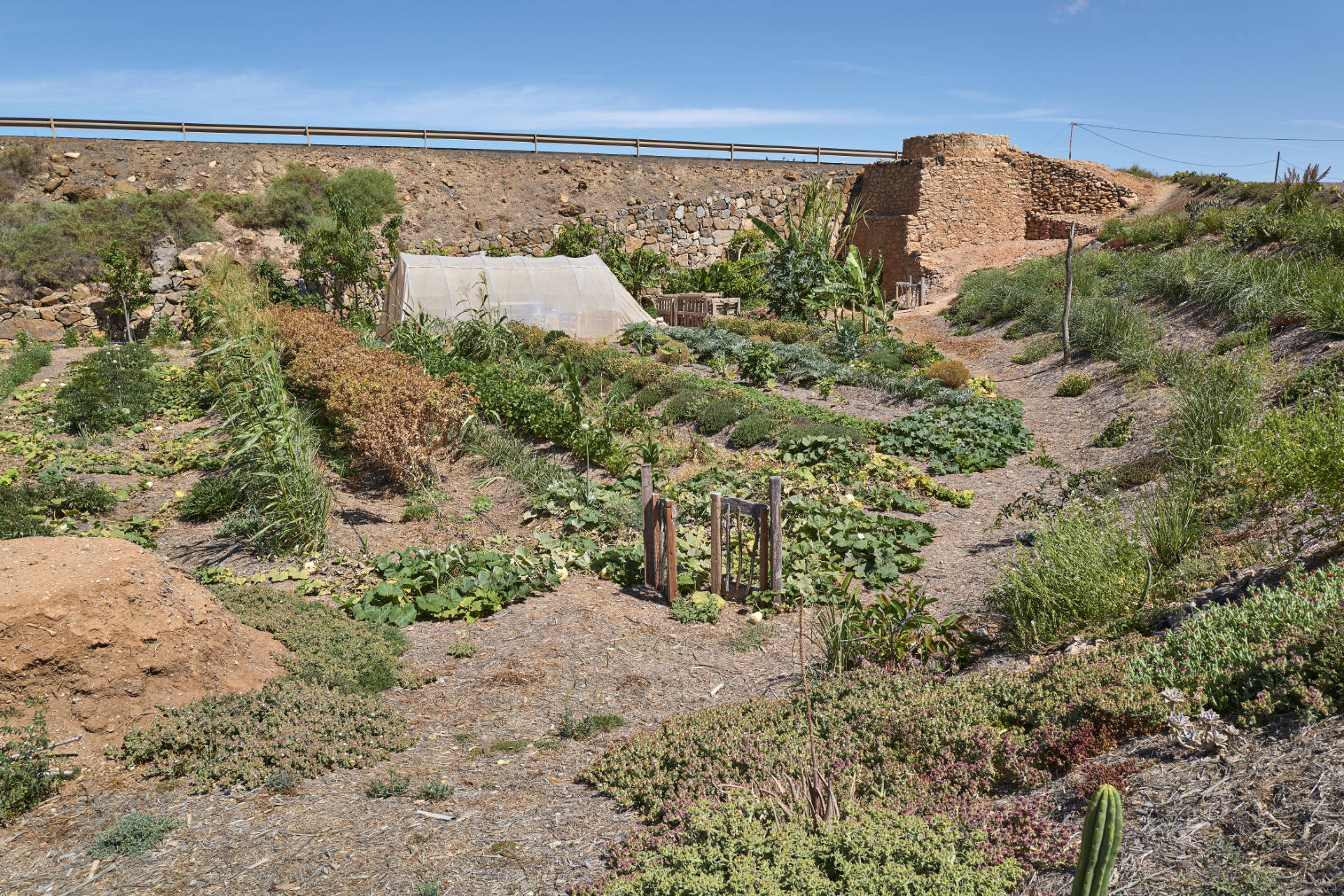 Barranco del Valle de las Cuevas Llanos de la Concepcíon Fuerteventura.