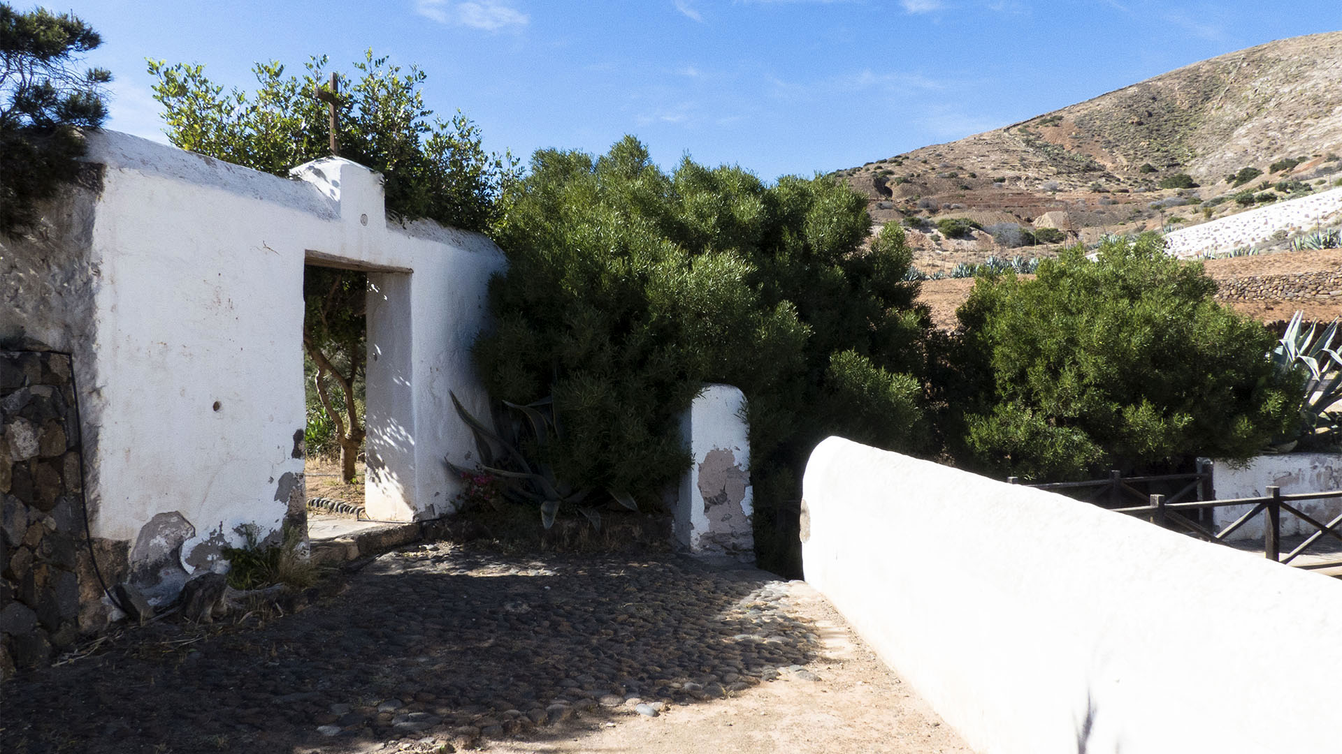 Bekanntschaften fuerteventura