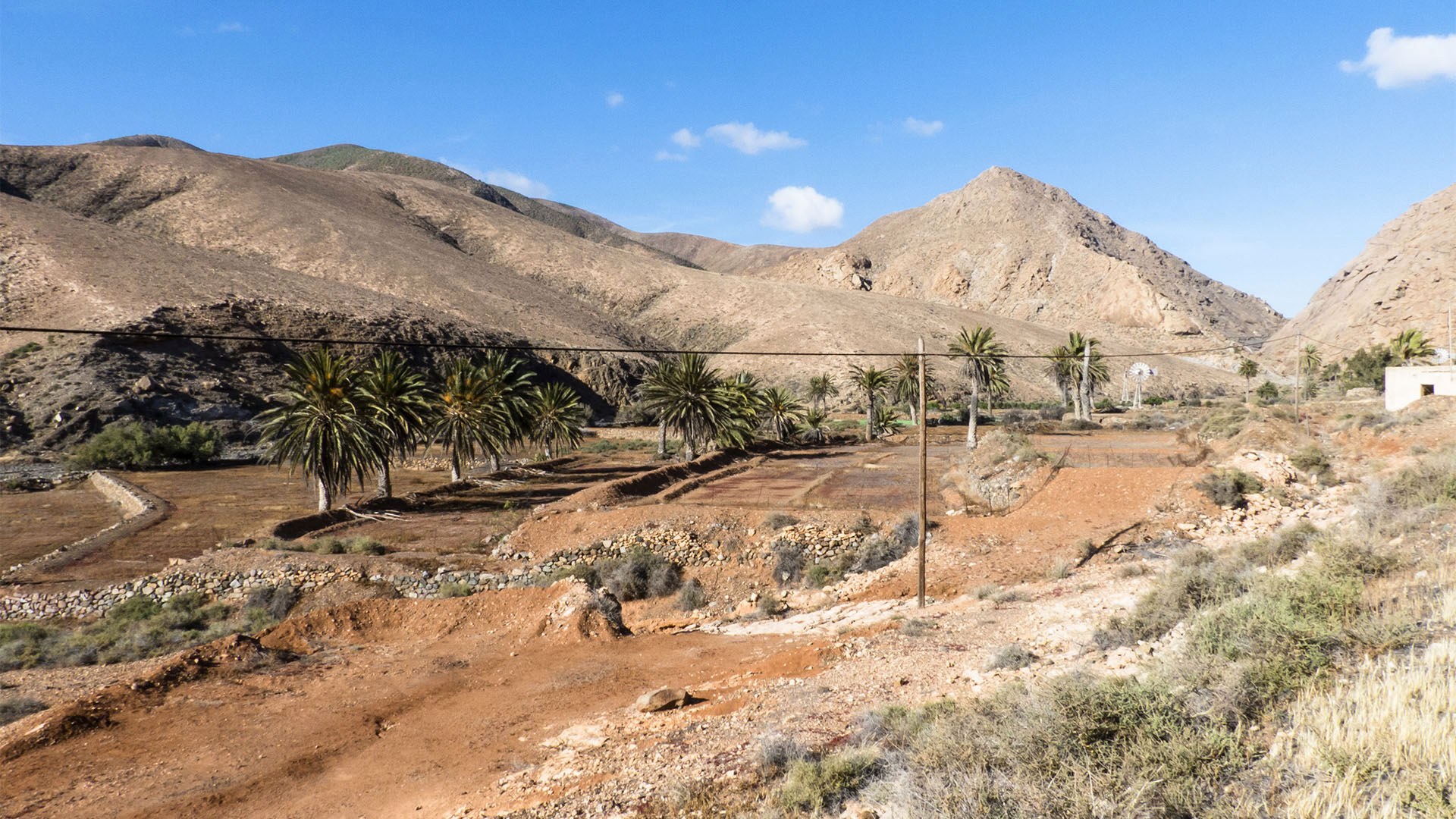 Landwirtschaft um den Ort Pájara auf Fuerteventura.