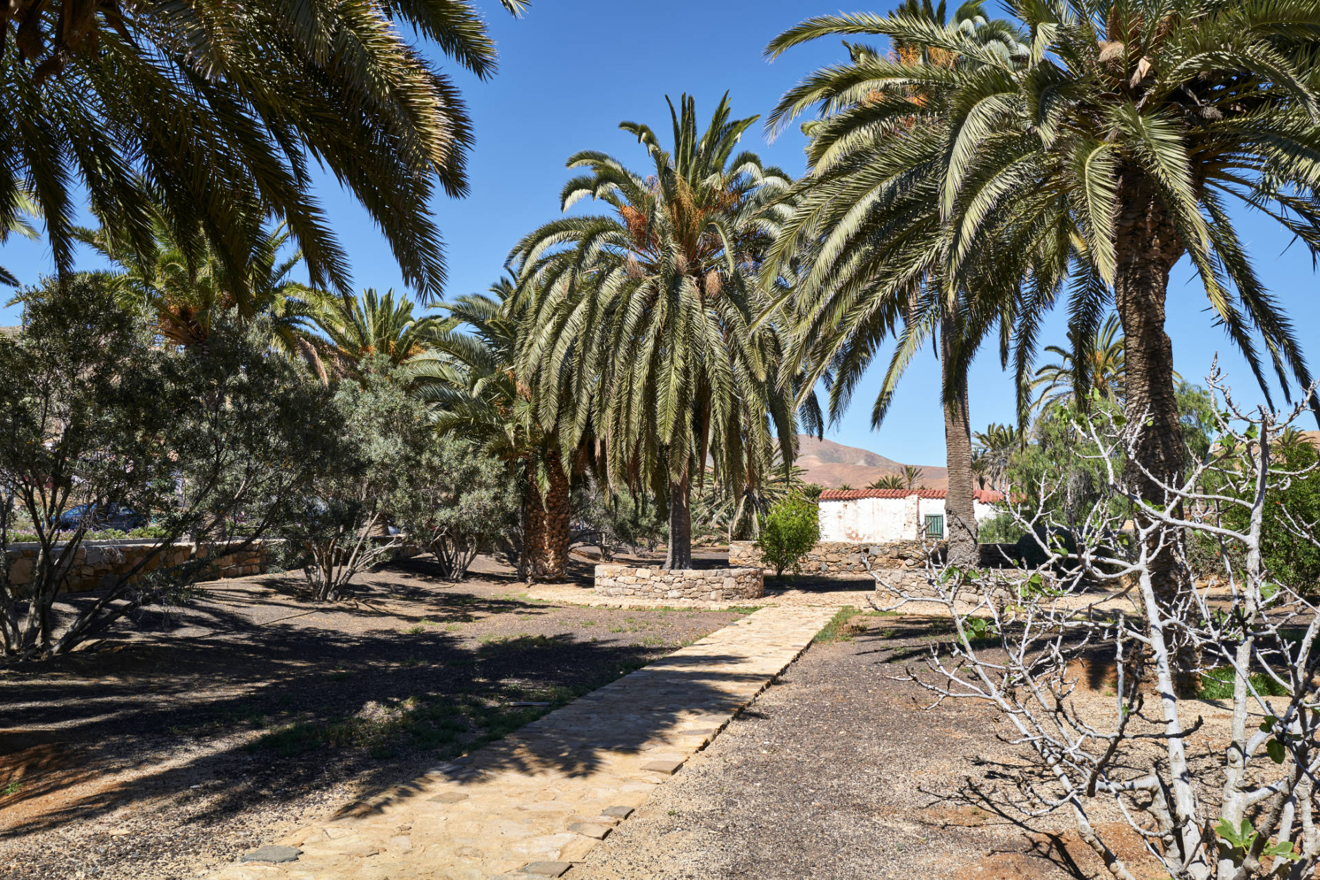 Der historischen Schöpfbrunnen im Barranco de Toto am Stadtrand von Pájara Fuerteventura.