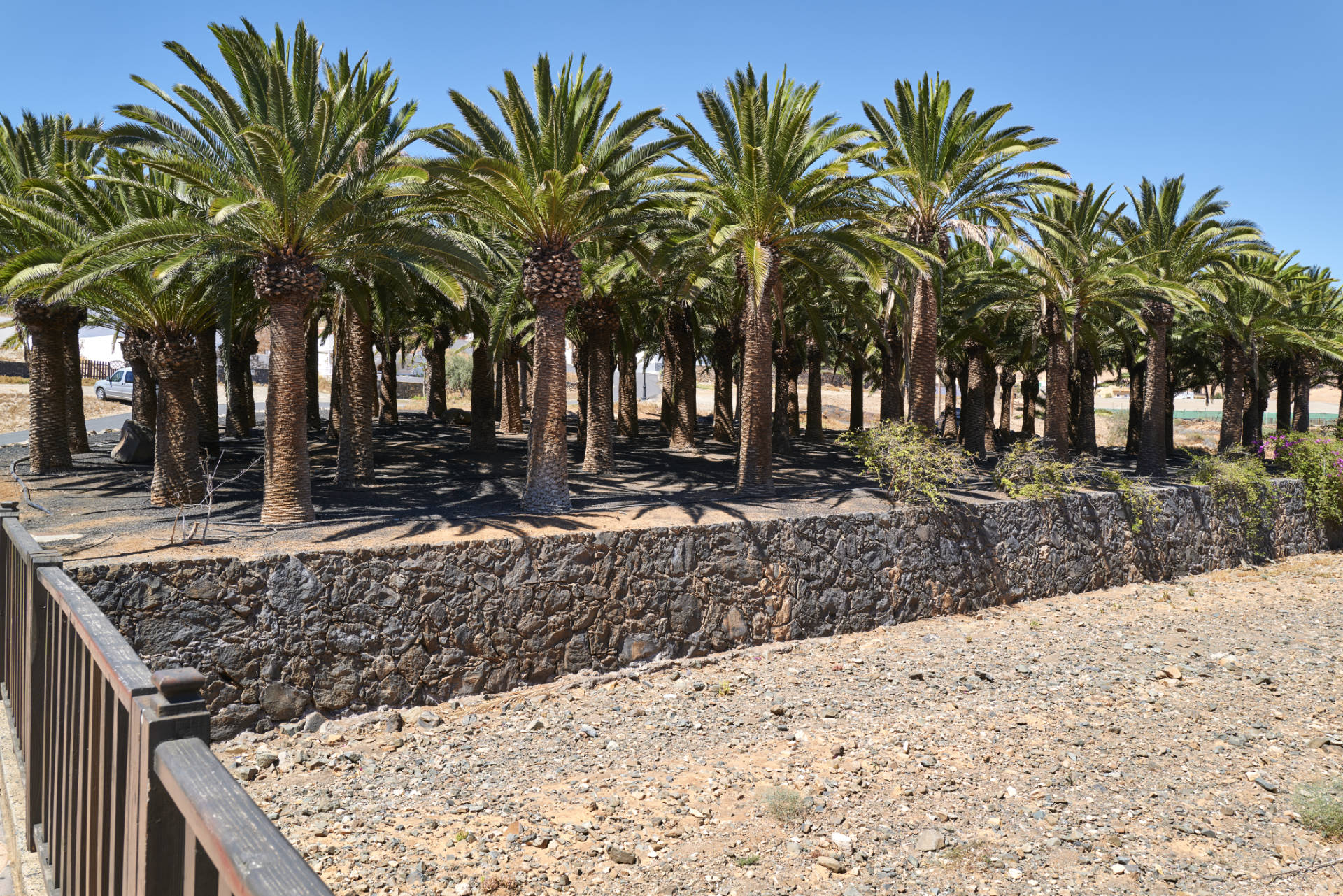 Das El Palmeral am Barranco de Toto im Casco von Pájara Fuerteventura.