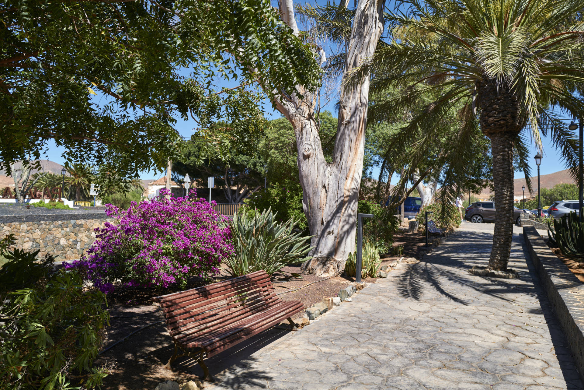 Der Paseo am Barranco de Toto im Casco von Pájara Fuerteventura.