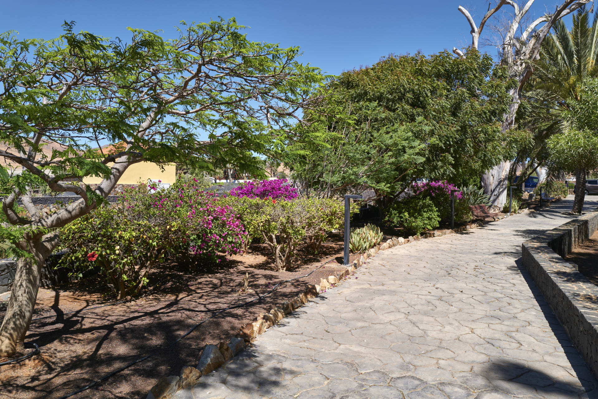 Der Paseo am Barranco de Toto im Casco von Pájara Fuerteventura.