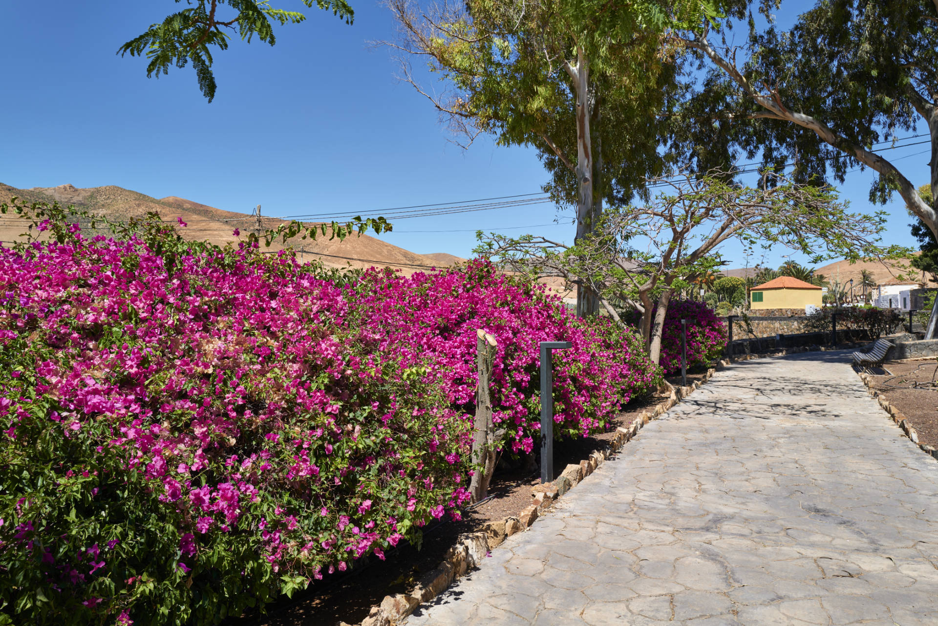 Der Paseo am Barranco de Toto im Casco von Pájara Fuerteventura.