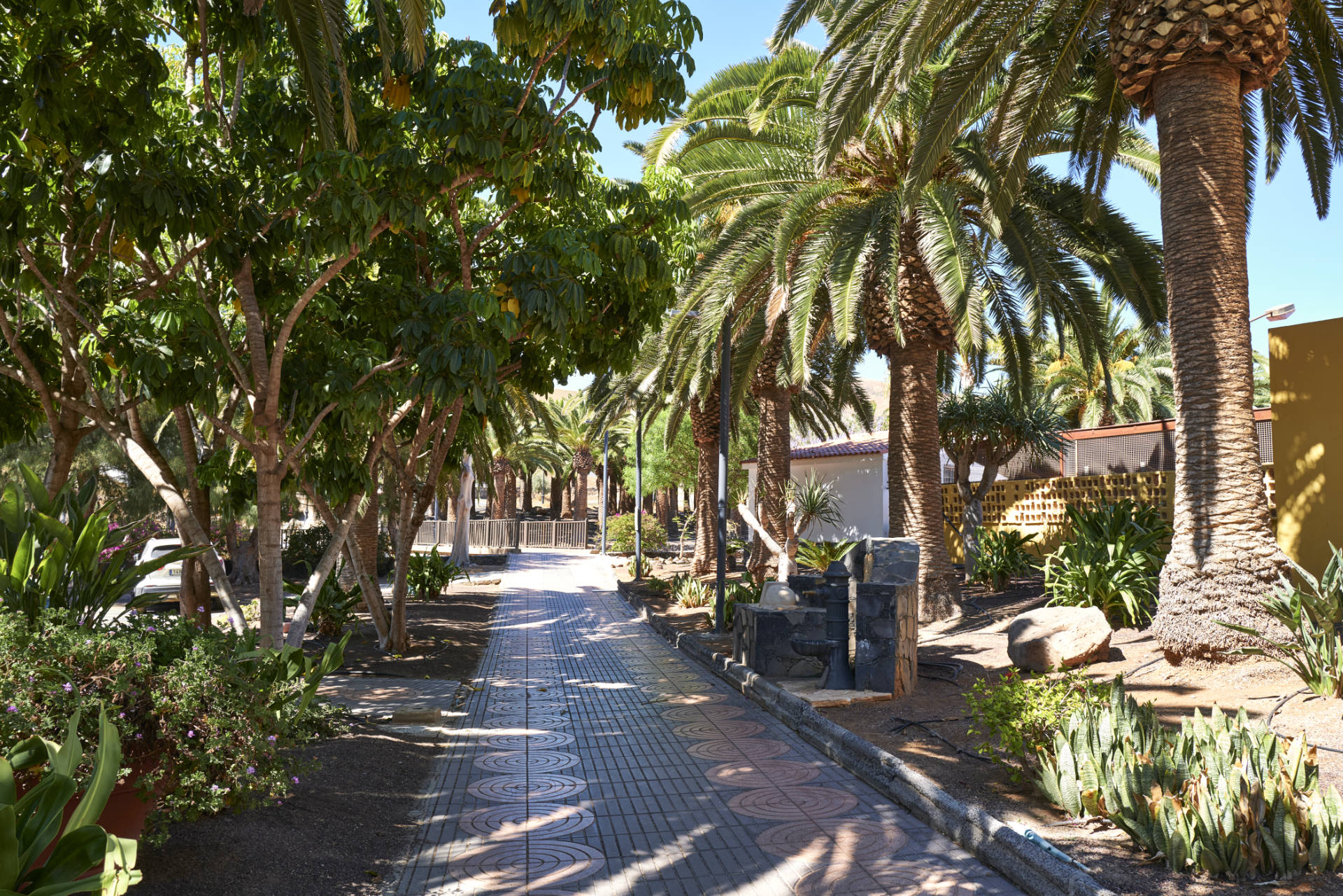 Der Paseo am Barranco de Toto im Casco von Pájara Fuerteventura.