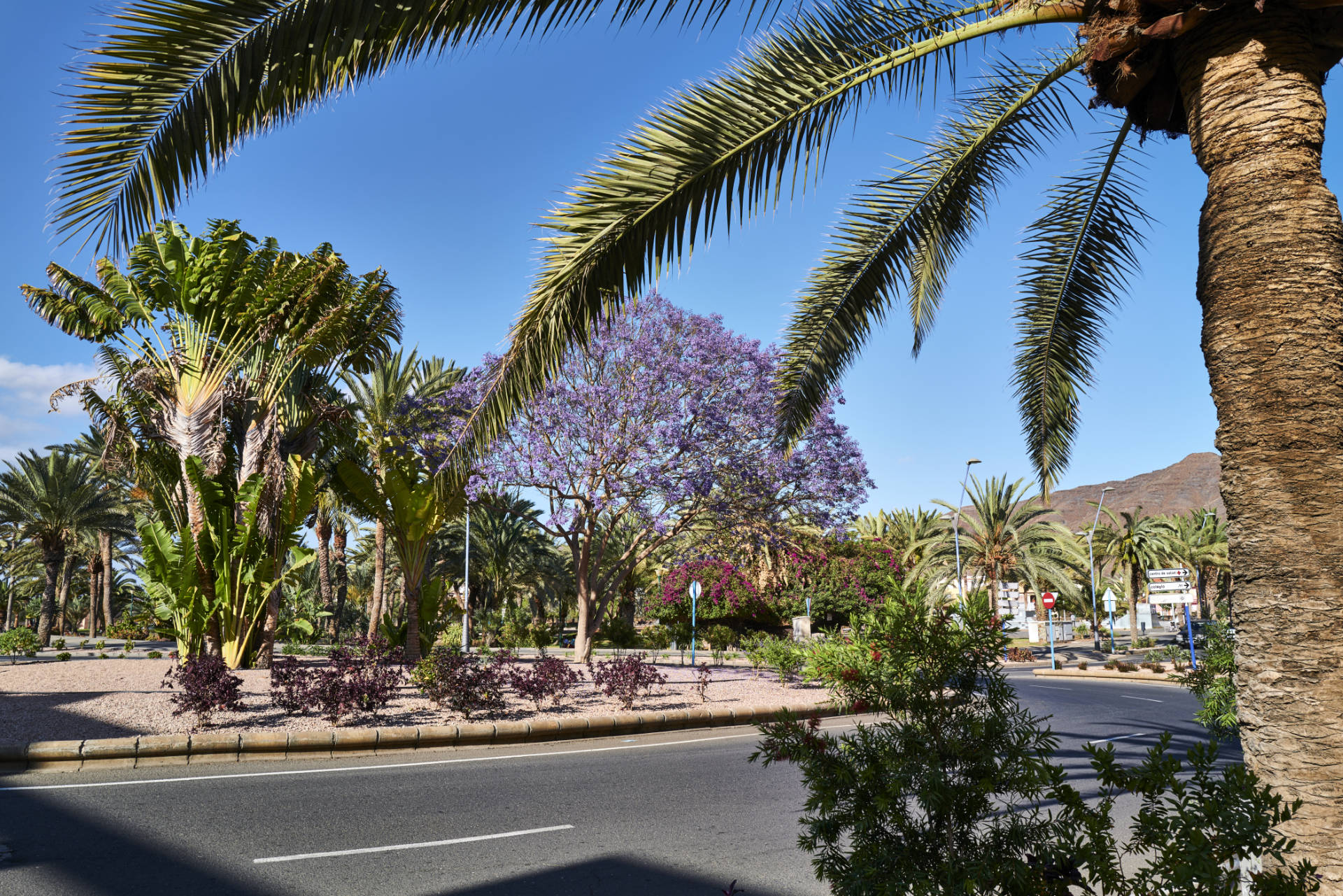 Am paseo marítimo von Gran Tarajal Fuerteventura.