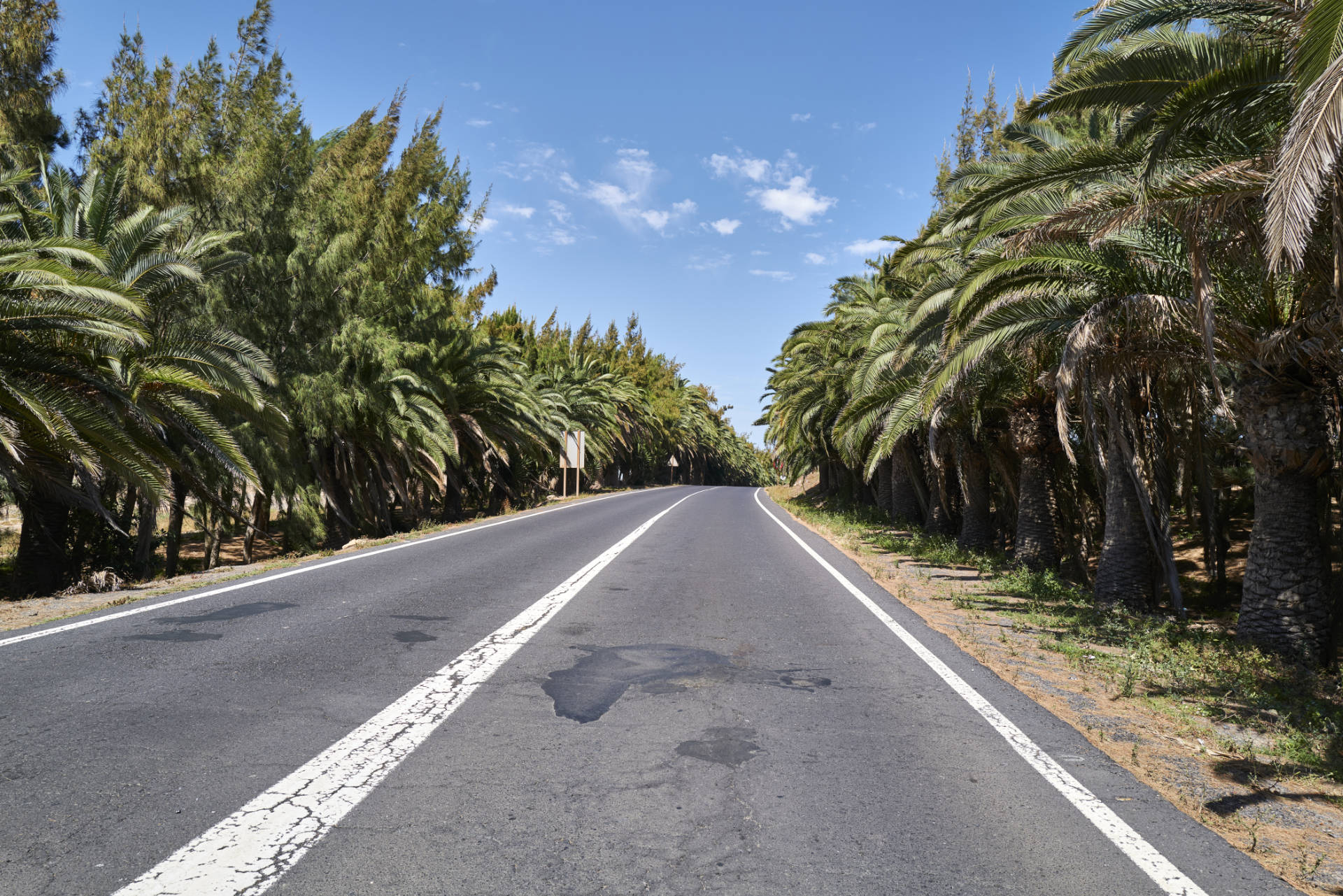 Der verwahrloste Palmenpark von Costa Calma Fuerteventura.