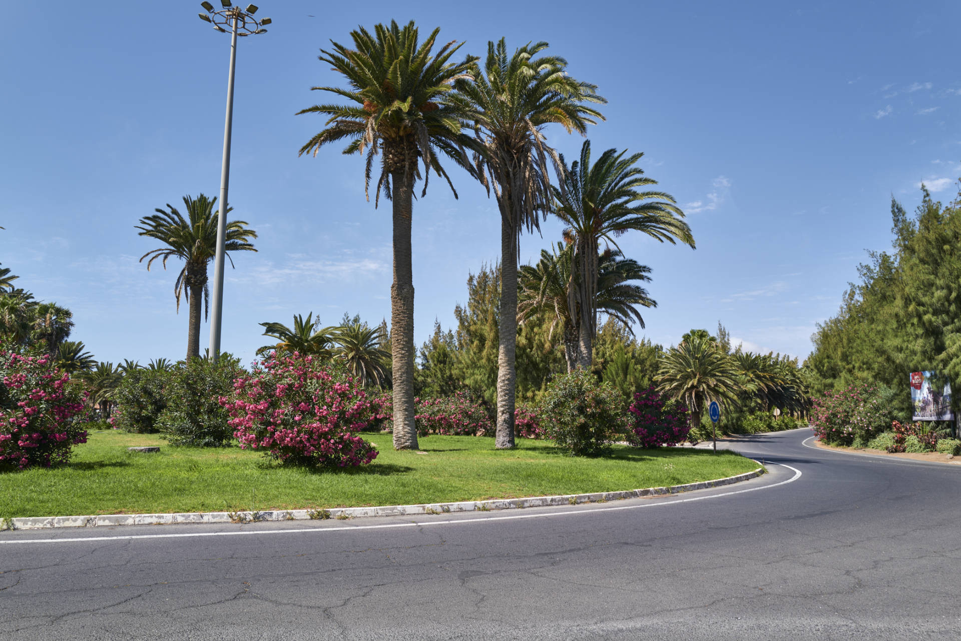 Der verwahrloste Palmenpark von Costa Calma Fuerteventura.