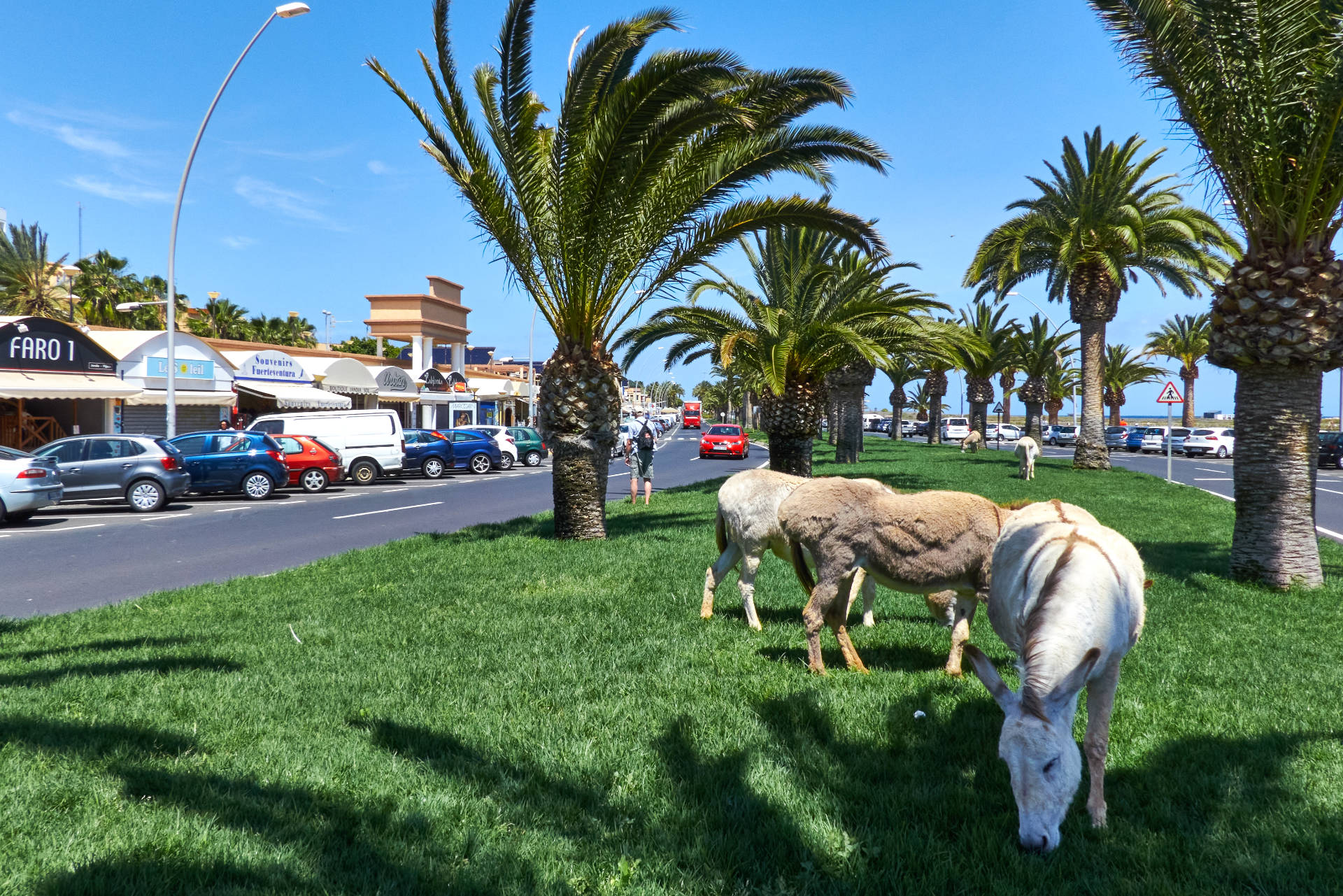 Der paseo von Morro Jable Fuerteventura.