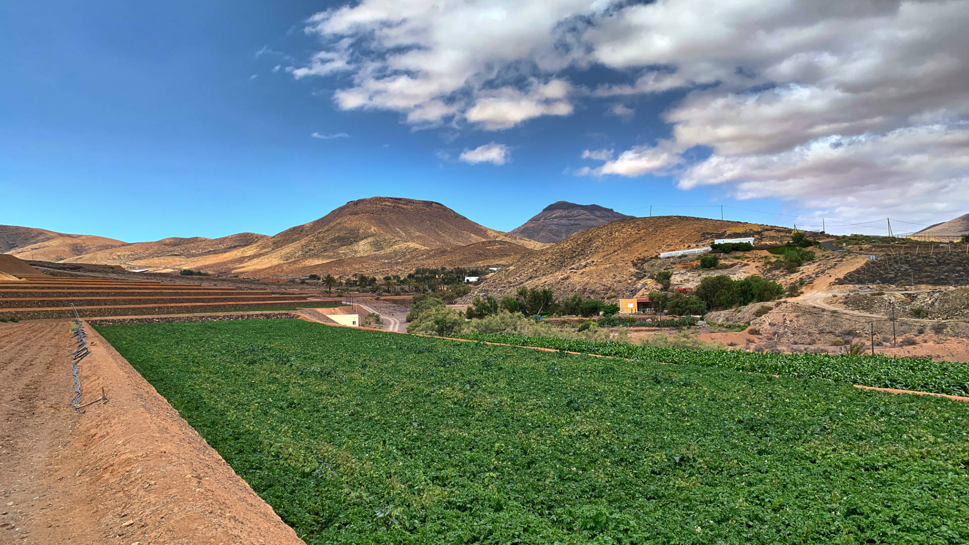 Landwirtschaft in El Cardón Fuerteventura.