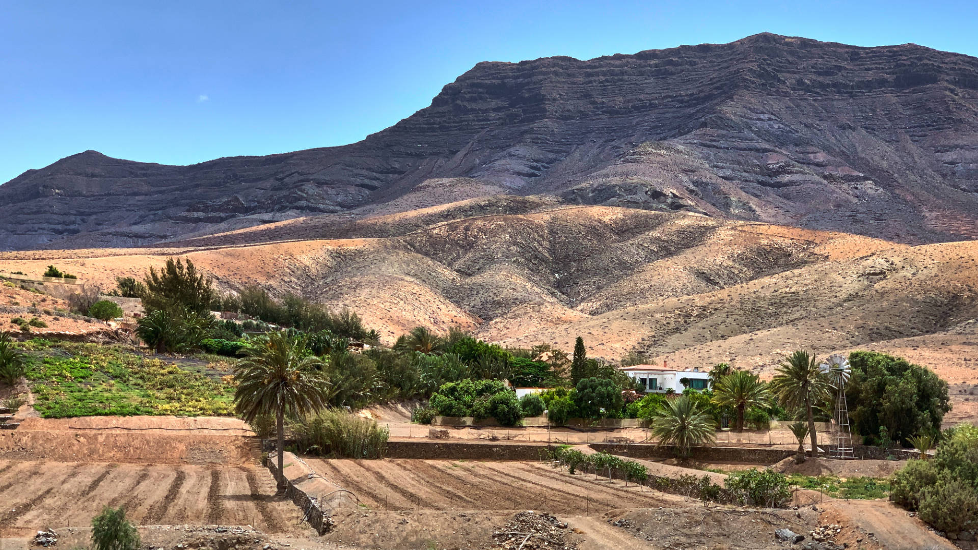 Landwirtschaft in El Cardón Fuerteventura.