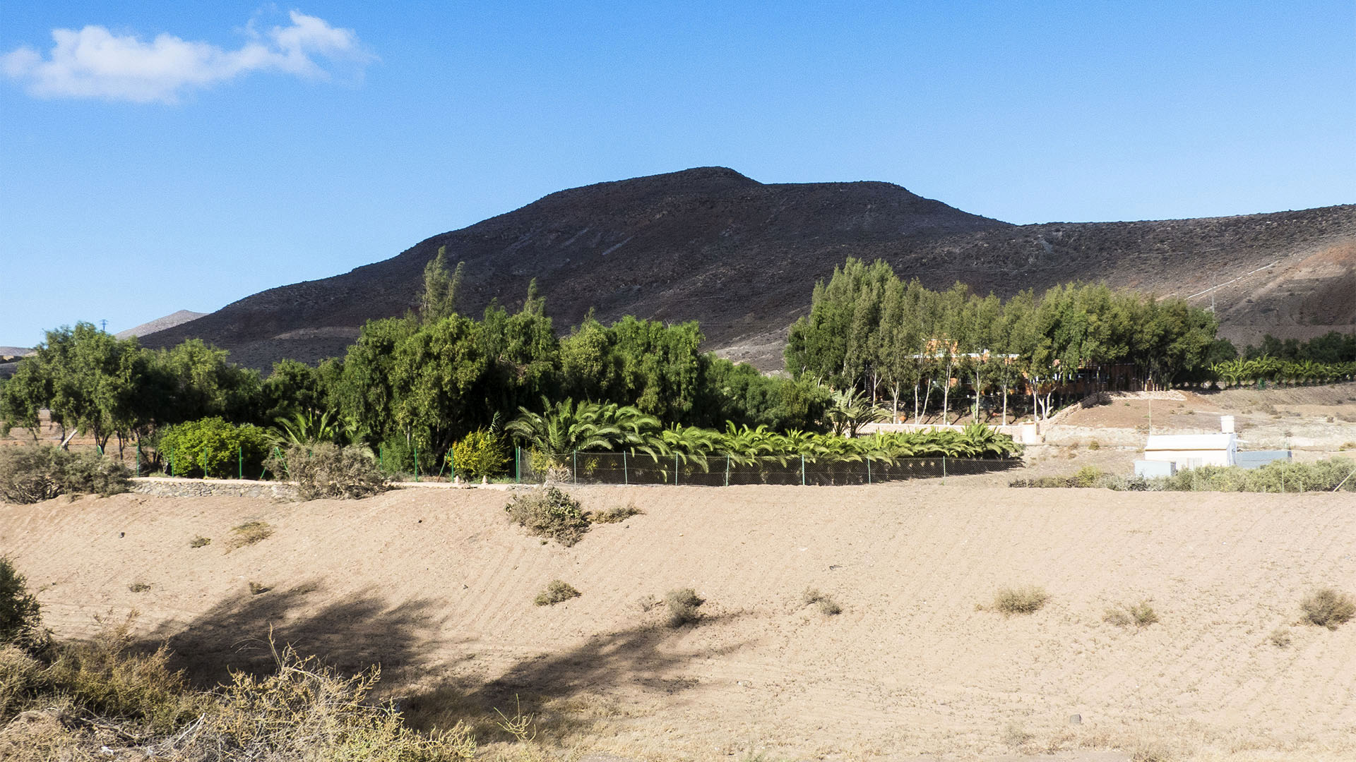 Landwirtschaft in El Cardón Fuerteventura.