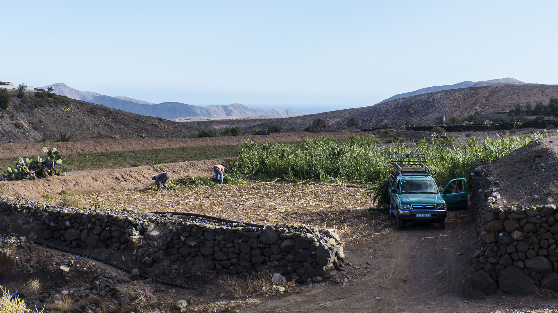 Landwirtschaft in El Cardón Fuerteventura.