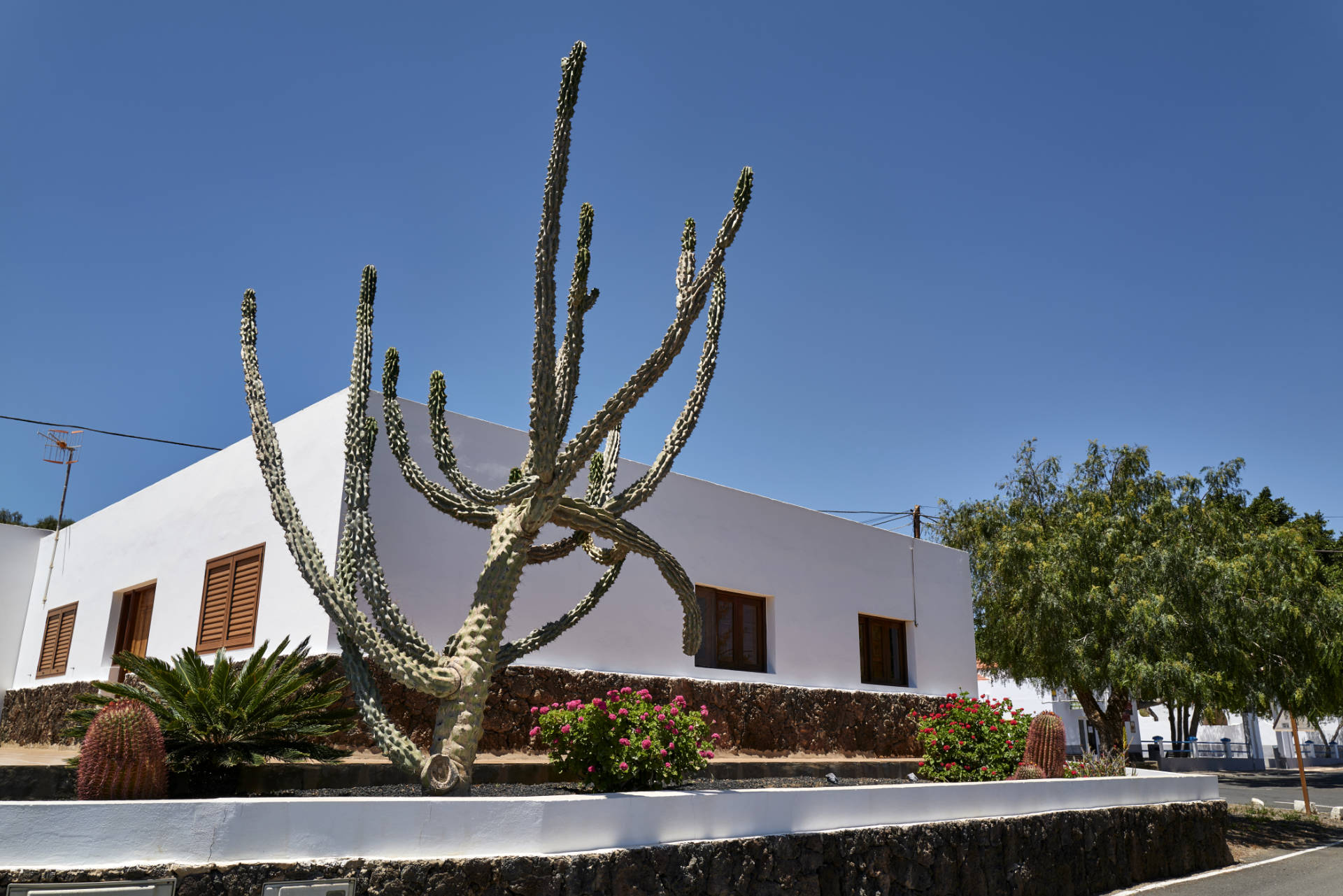 Der Ort El Cardón auf Fuerteventura.