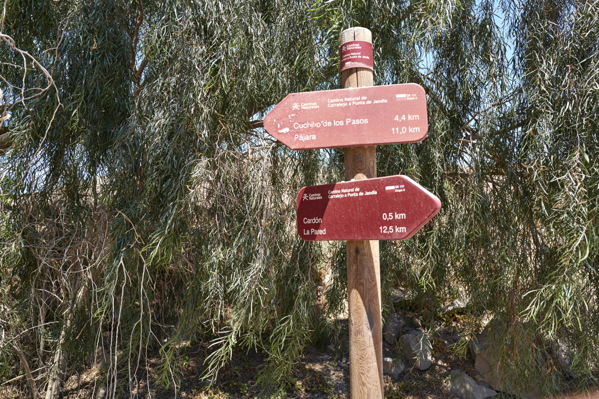 Der Ort El Cardón auf Fuerteventura.