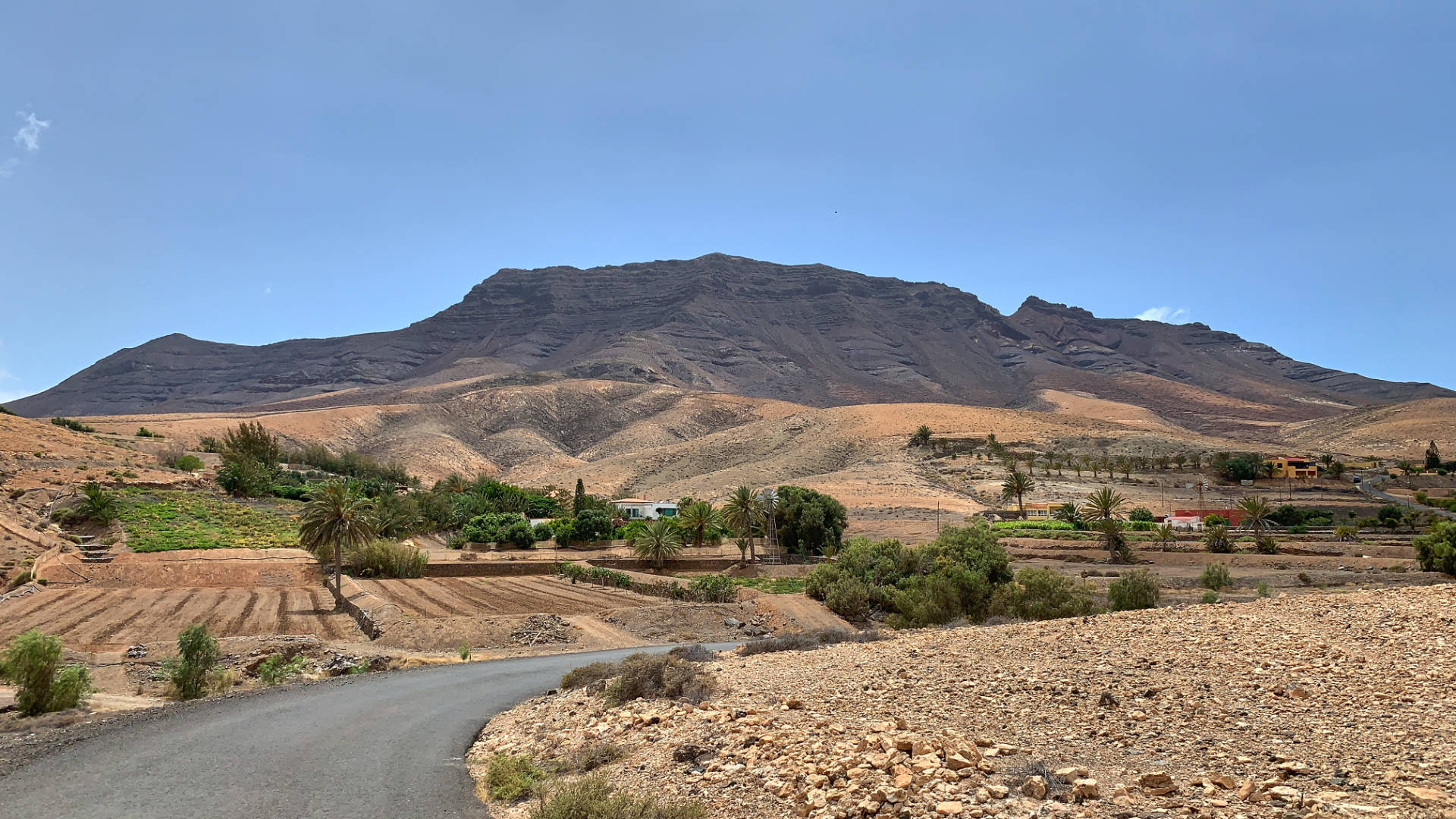 Die Renaissance der Landwirtschaft auf Fuerteventura in El Cardón.