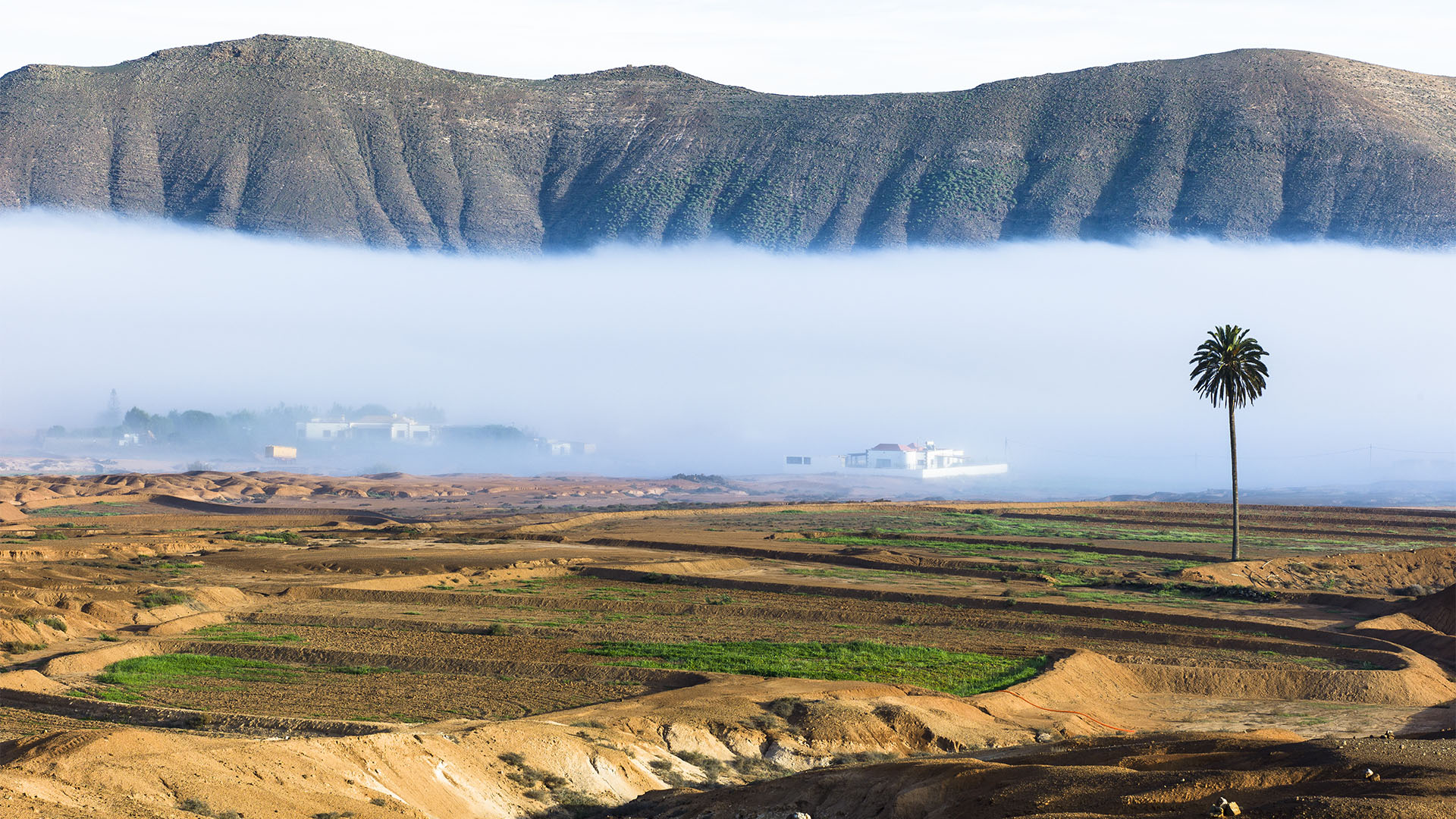 Fotografieren auf Fuerteventura.