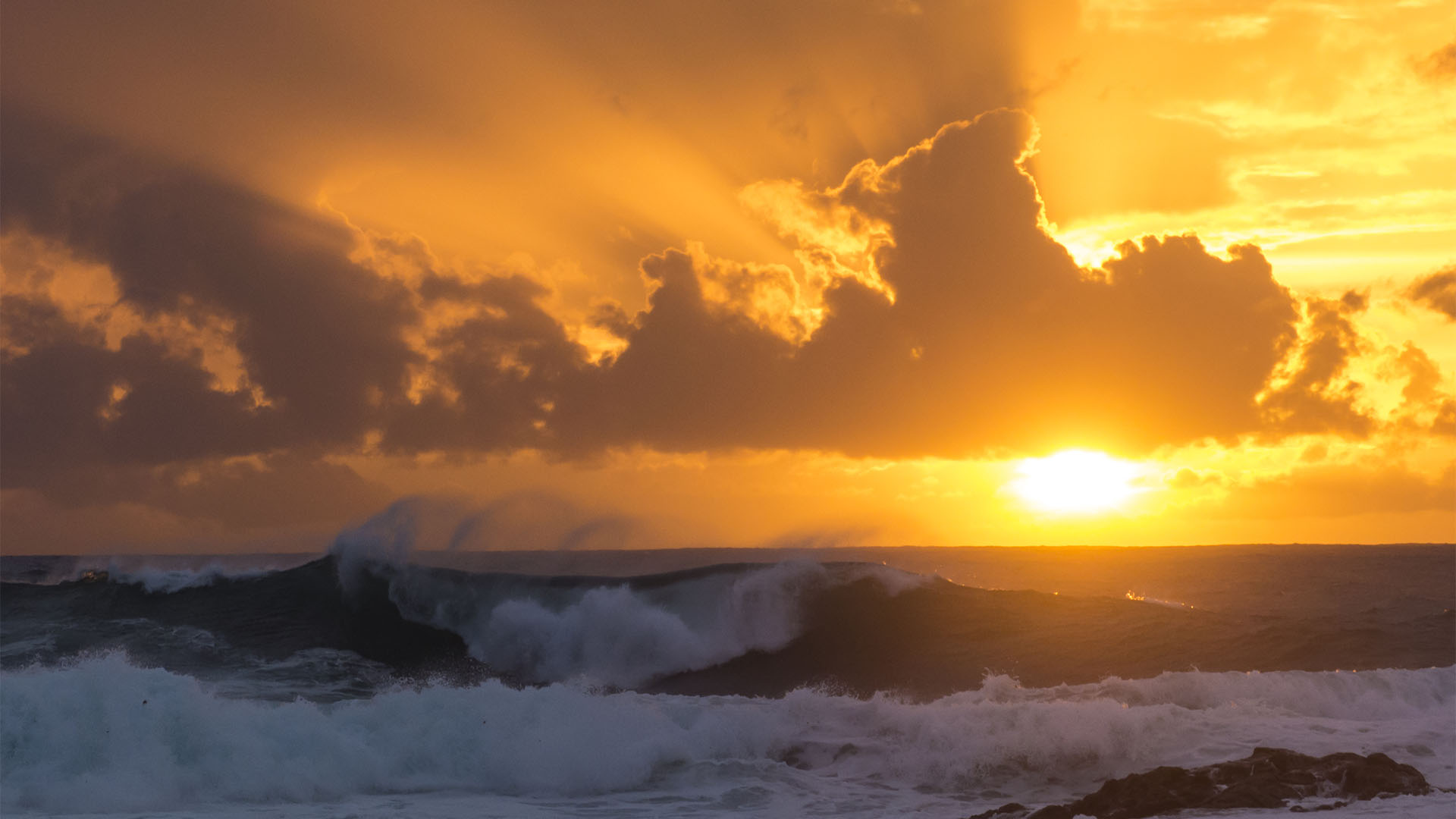 Fotografieren auf Fuerteventura.