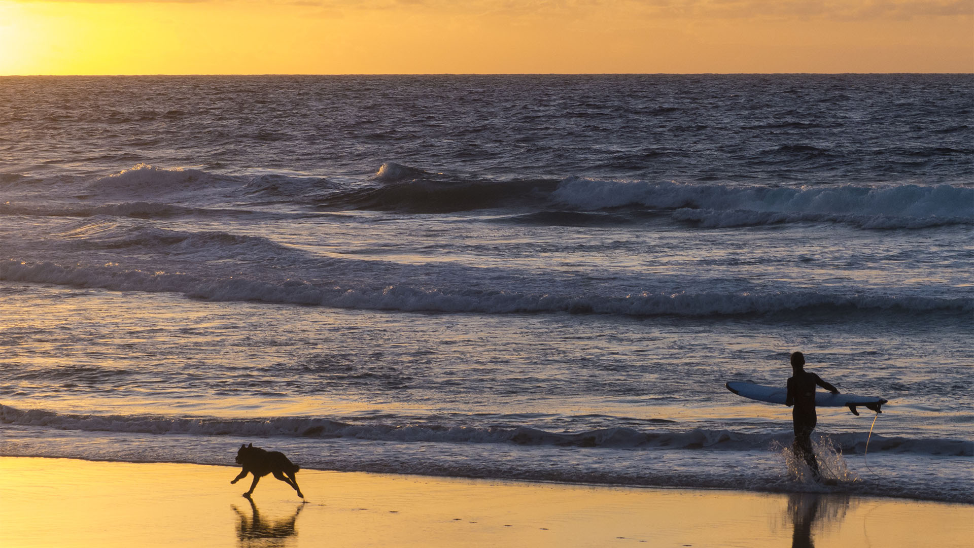 Fotografieren auf Fuerteventura.