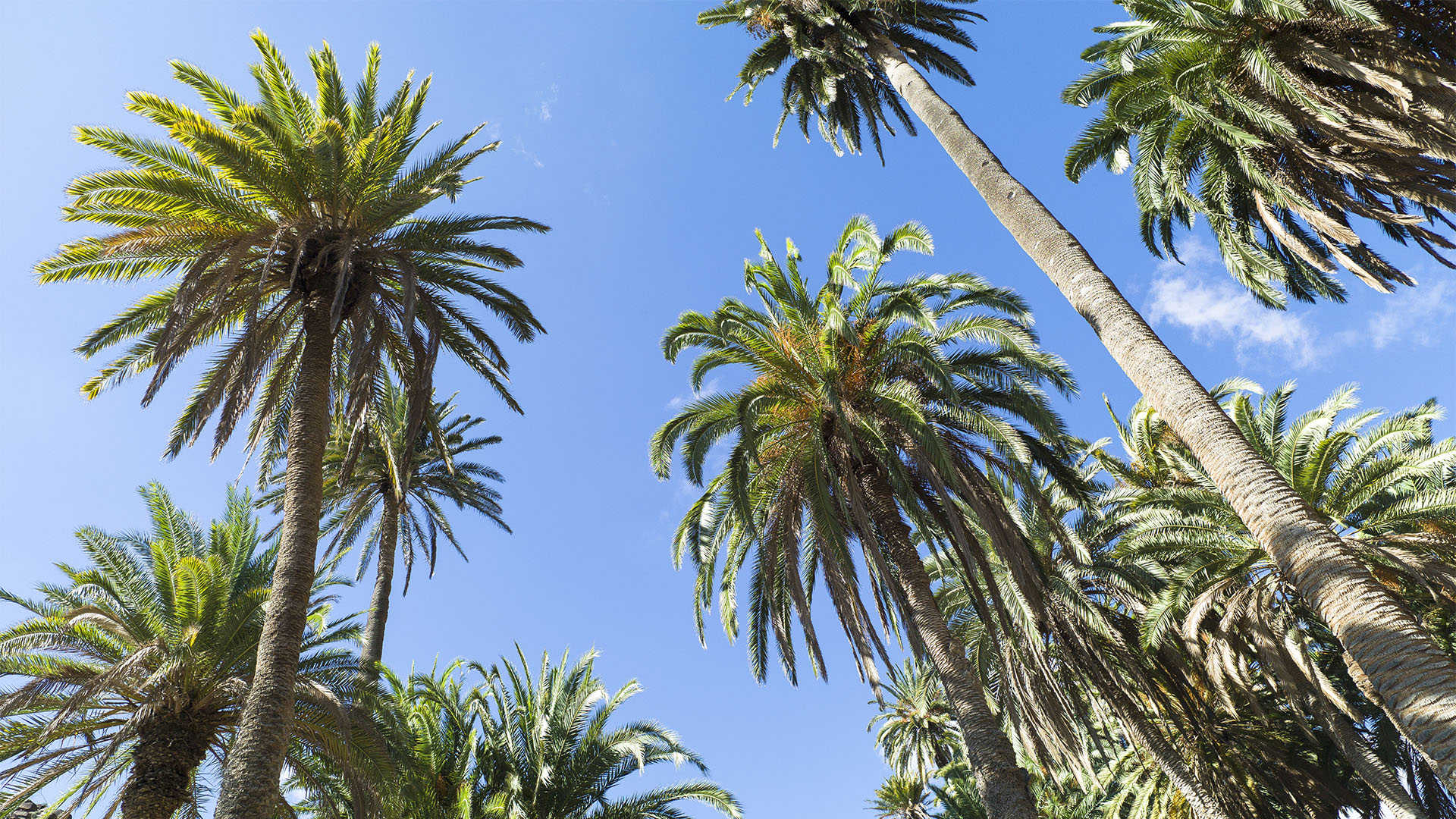 Fotografieren auf Fuerteventura.