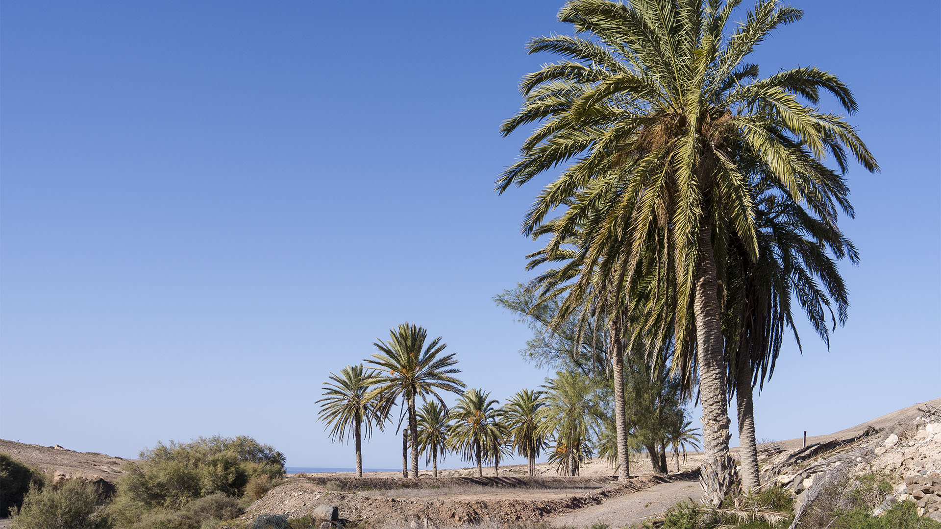 Fotografieren auf Fuerteventura.