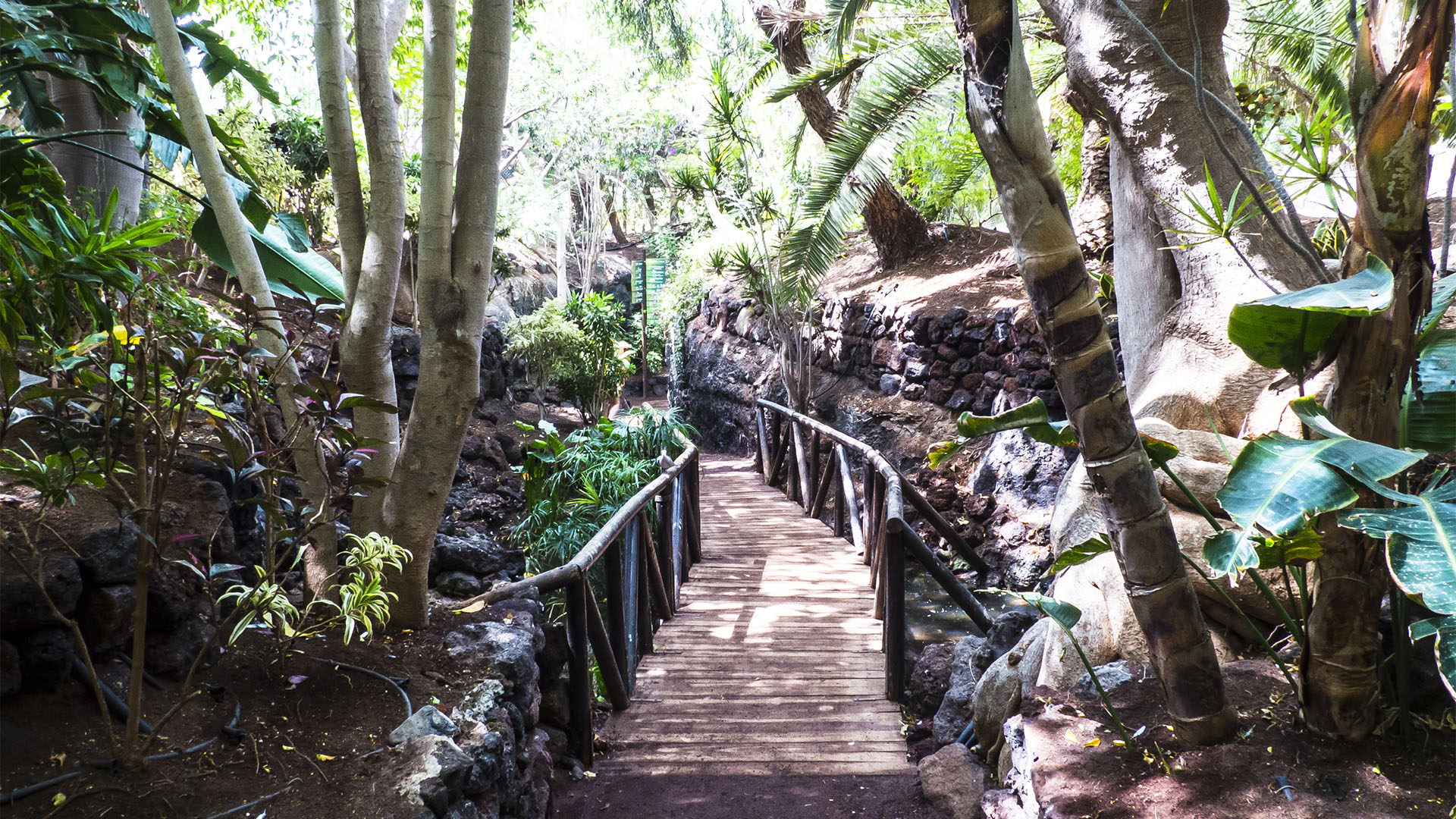 Freizeitparks Fuerteventura: Der Oasis Park in La Lajita – Tier- und Pflanzenwelt.