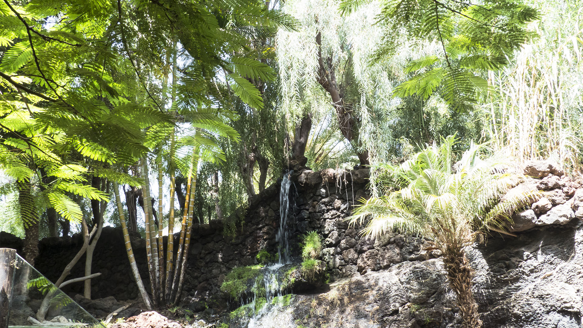 Freizeitparks Fuerteventura: Der Oasis Park in La Lajita – Tier- und Pflanzenwelt.