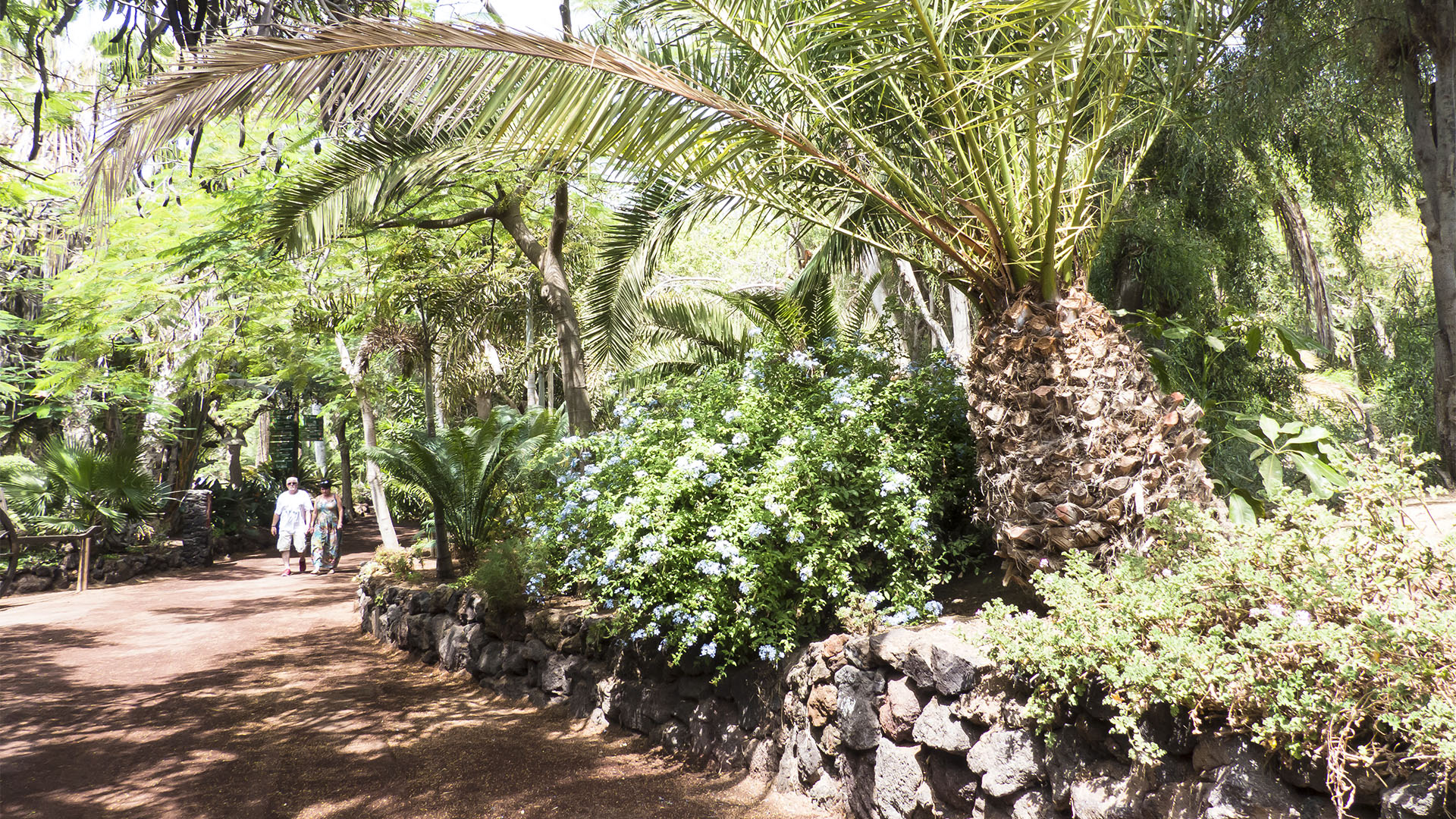 Freizeitparks Fuerteventura: Der Oasis Park in La Lajita – Tier- und Pflanzenwelt.