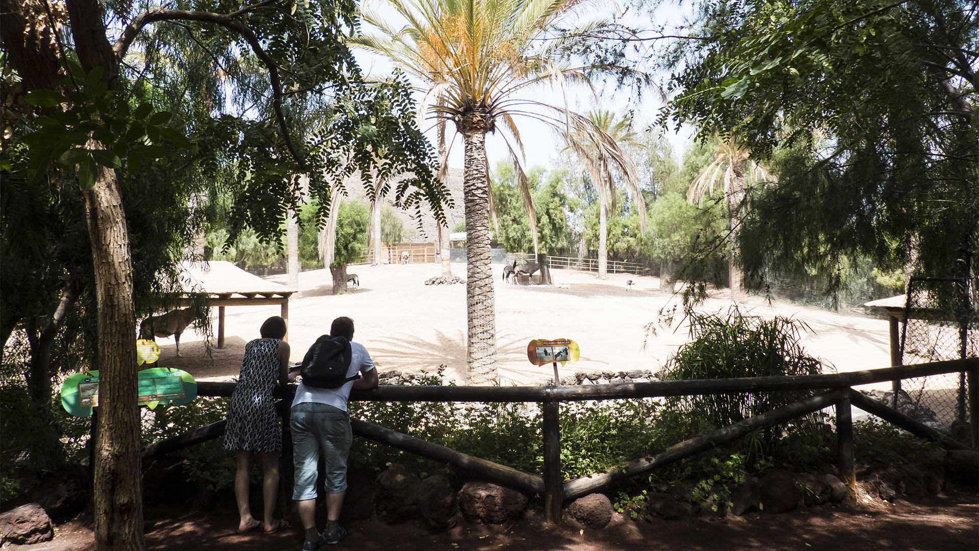 Freizeitparks Fuerteventura: Der Oasis Park in La Lajita – Tier- und Pflanzenwelt.