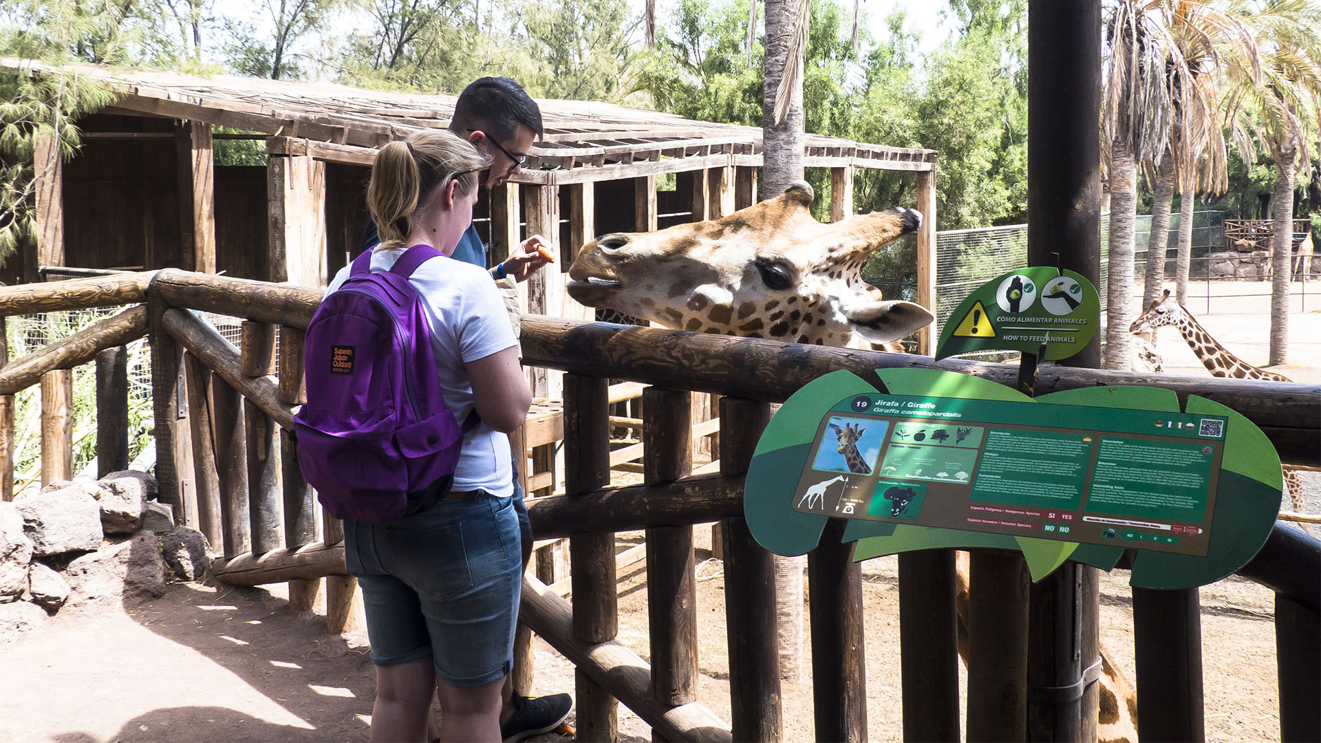 Freizeitparks Fuerteventura: Der Oasis Park in La Lajita – Tier- und Pflanzenwelt.