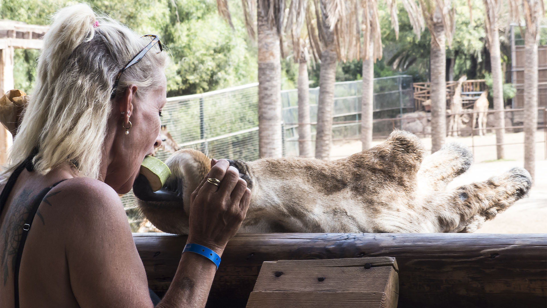 Freizeitparks Fuerteventura: Der Oasis Park in La Lajita – Tier- und Pflanzenwelt.