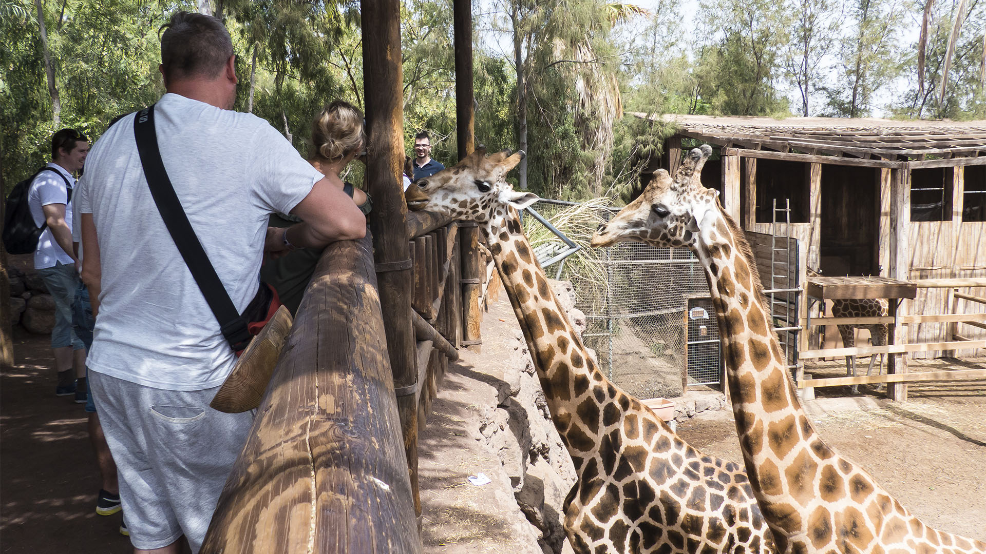 Freizeitparks Fuerteventura: Der Oasis Park in La Lajita – Tier- und Pflanzenwelt.