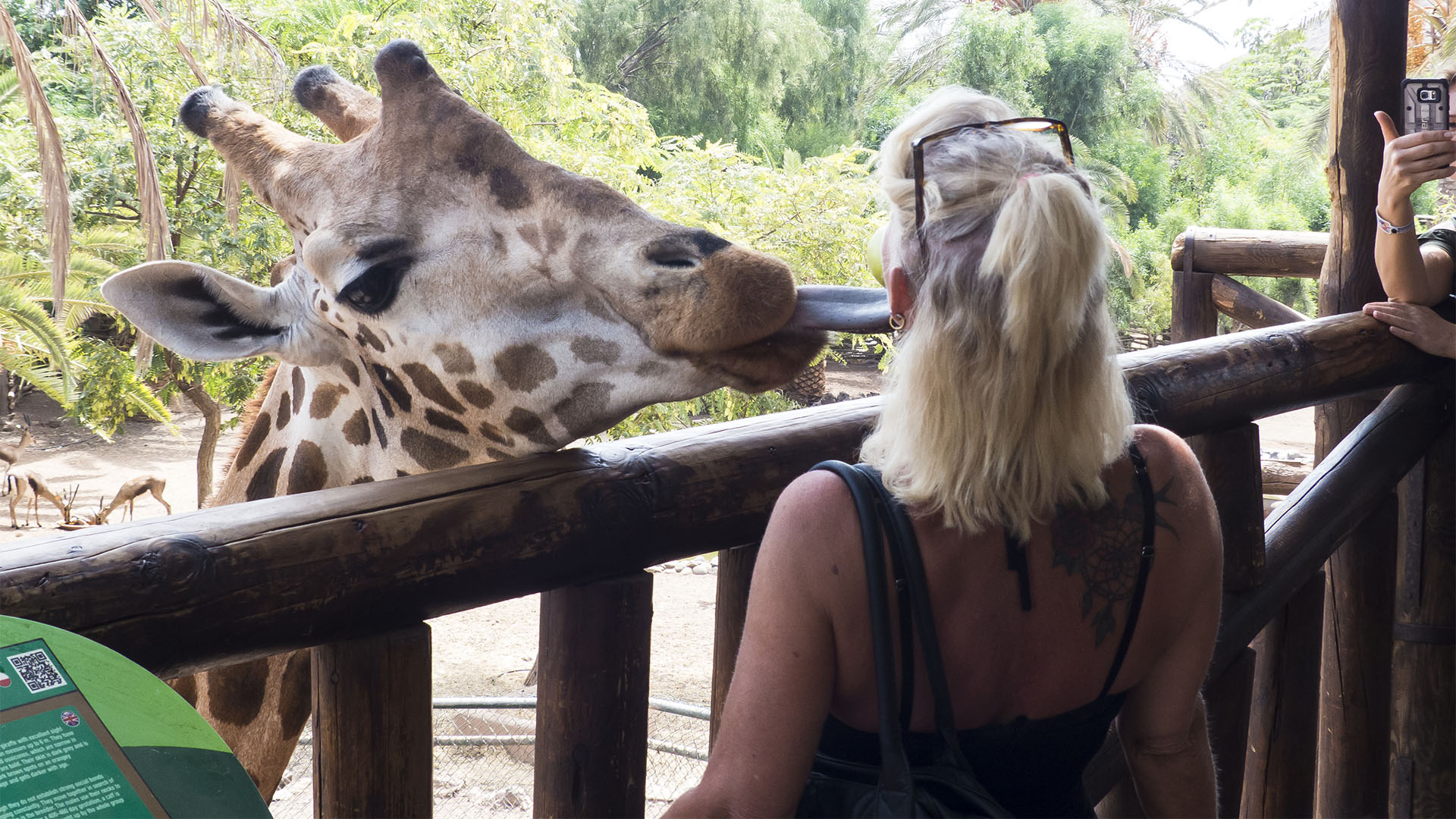 Freizeitparks Fuerteventura: Der Oasis Park in La Lajita – Tier- und Pflanzenwelt.