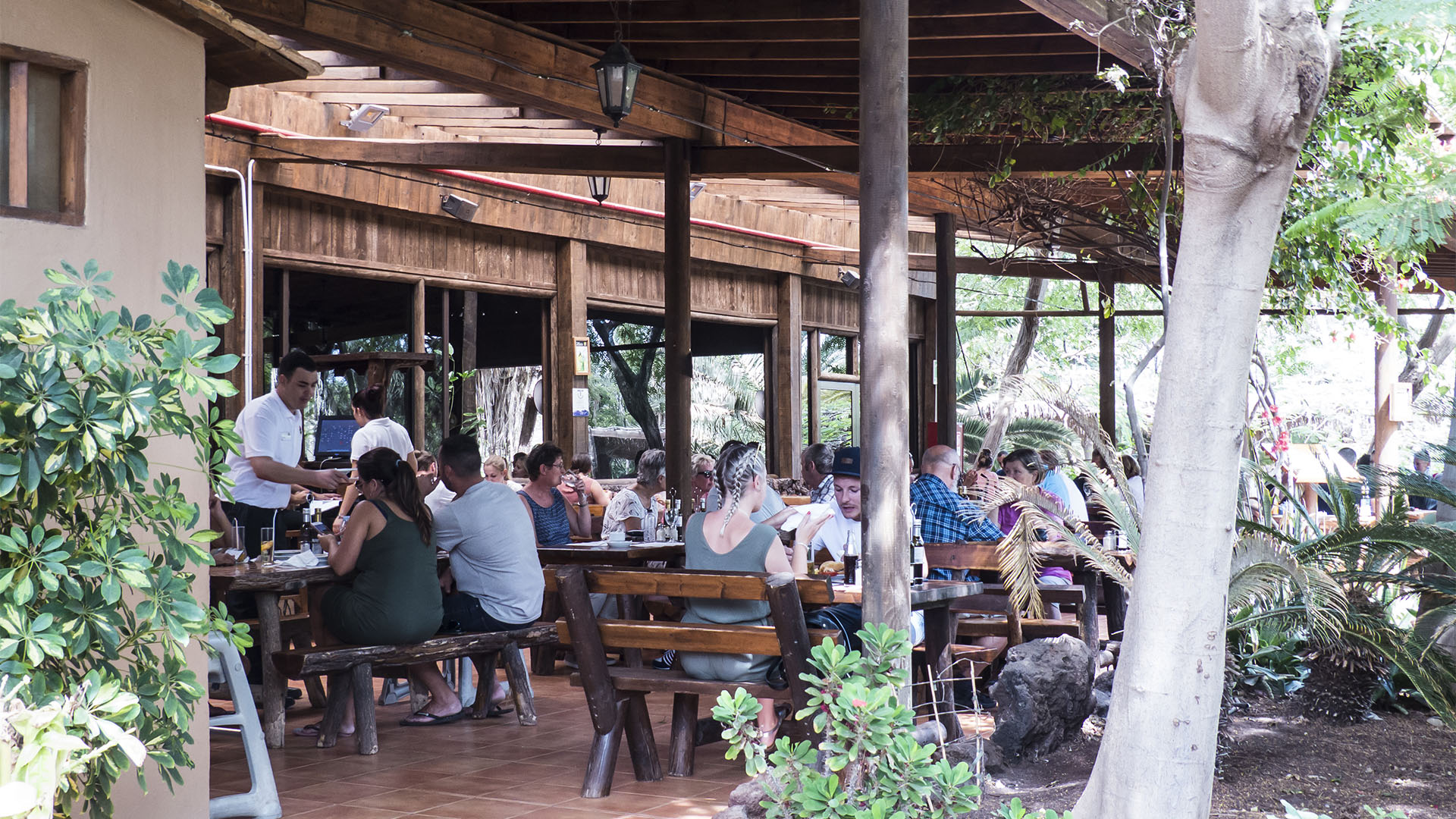 Freizeitparks Fuerteventura: Der Oasis Park in La Lajita – Tier- und Pflanzenwelt.