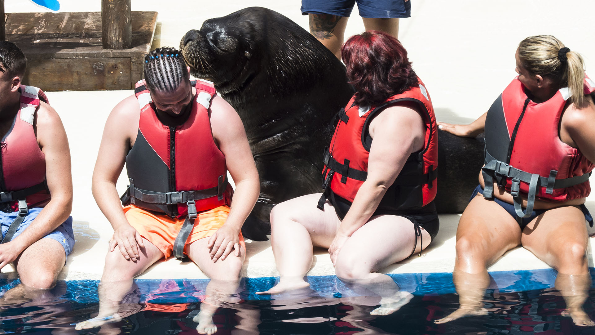 Freizeitparks Fuerteventura: Der Oasis Park in La Lajita – Tier- und Pflanzenwelt.