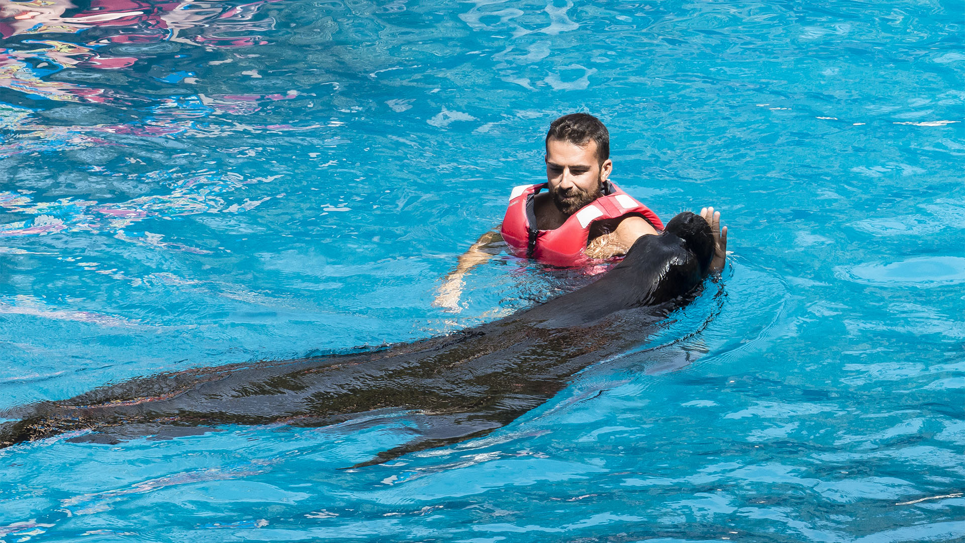 Freizeitparks Fuerteventura: Der Oasis Park in La Lajita – Tier- und Pflanzenwelt.