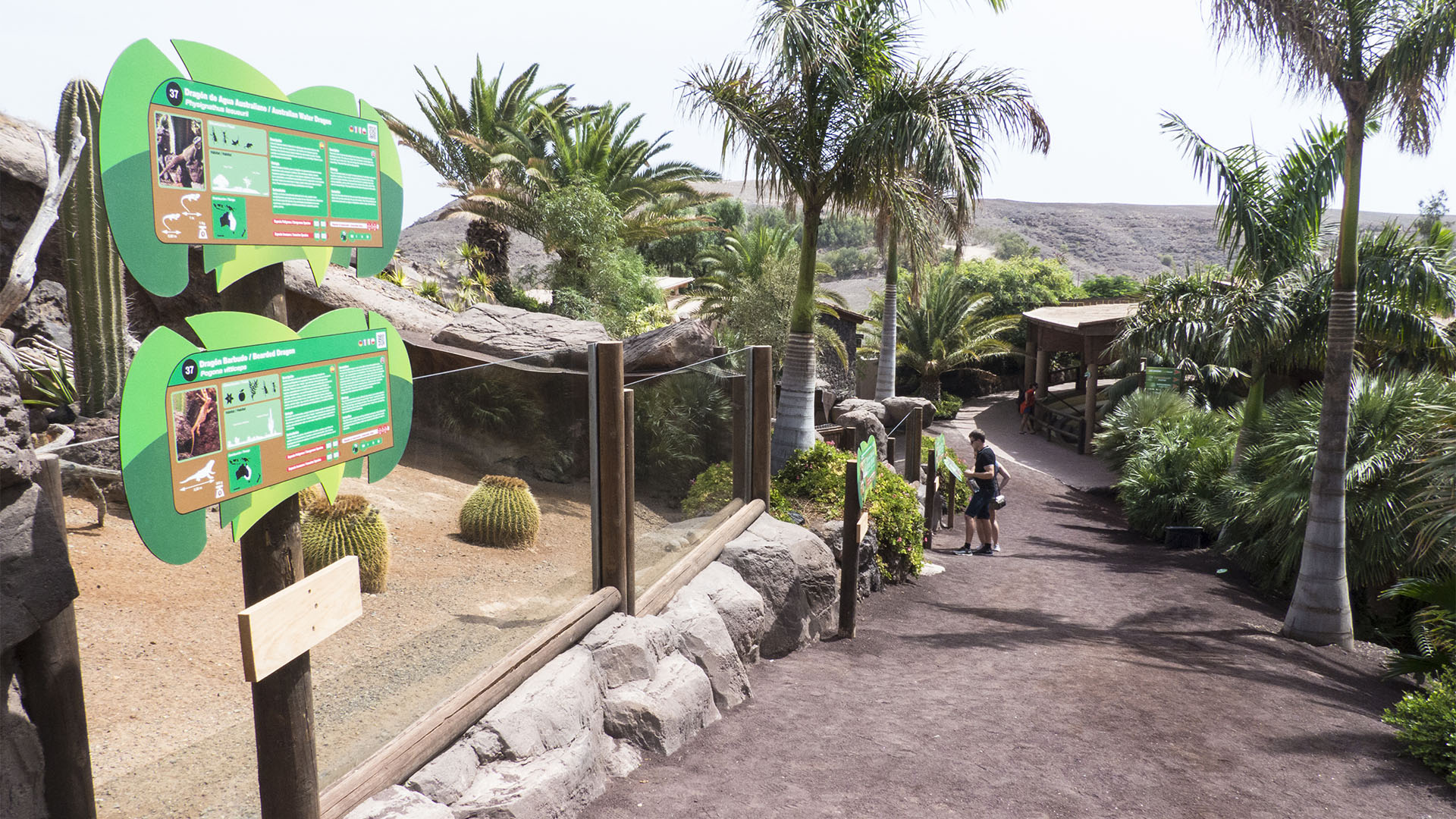 Freizeitparks Fuerteventura: Der Oasis Park in La Lajita – Tier- und Pflanzenwelt.