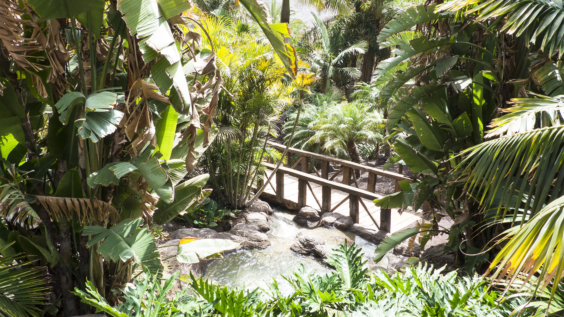 Freizeitparks Fuerteventura: Der Oasis Park in La Lajita – Tier- und Pflanzenwelt.