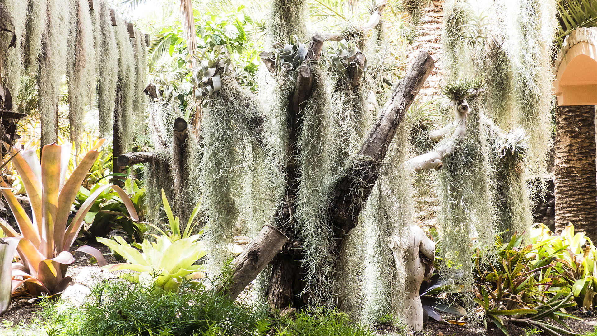 Freizeitparks Fuerteventura: Der Oasis Park in La Lajita – Tier- und Pflanzenwelt.