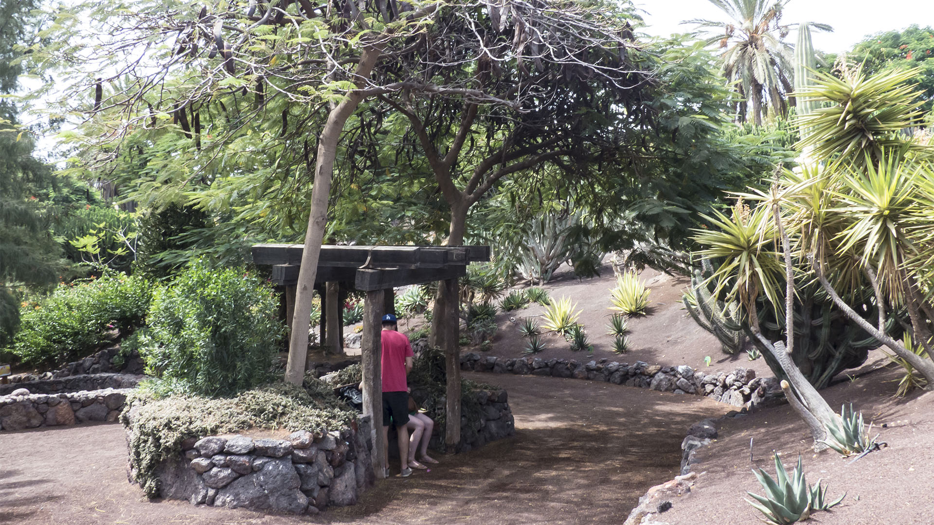 Freizeitparks Fuerteventura: Der Oasis Park in La Lajita – Tier- und Pflanzenwelt.