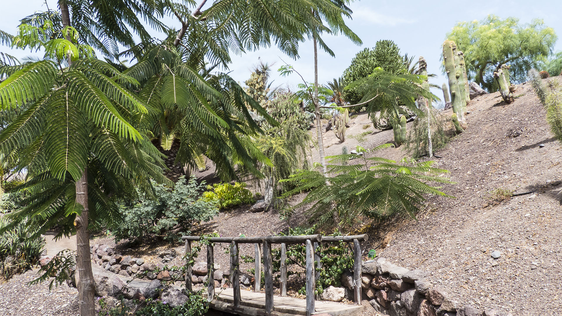 Freizeitparks Fuerteventura: Der Oasis Park in La Lajita – Tier- und Pflanzenwelt.