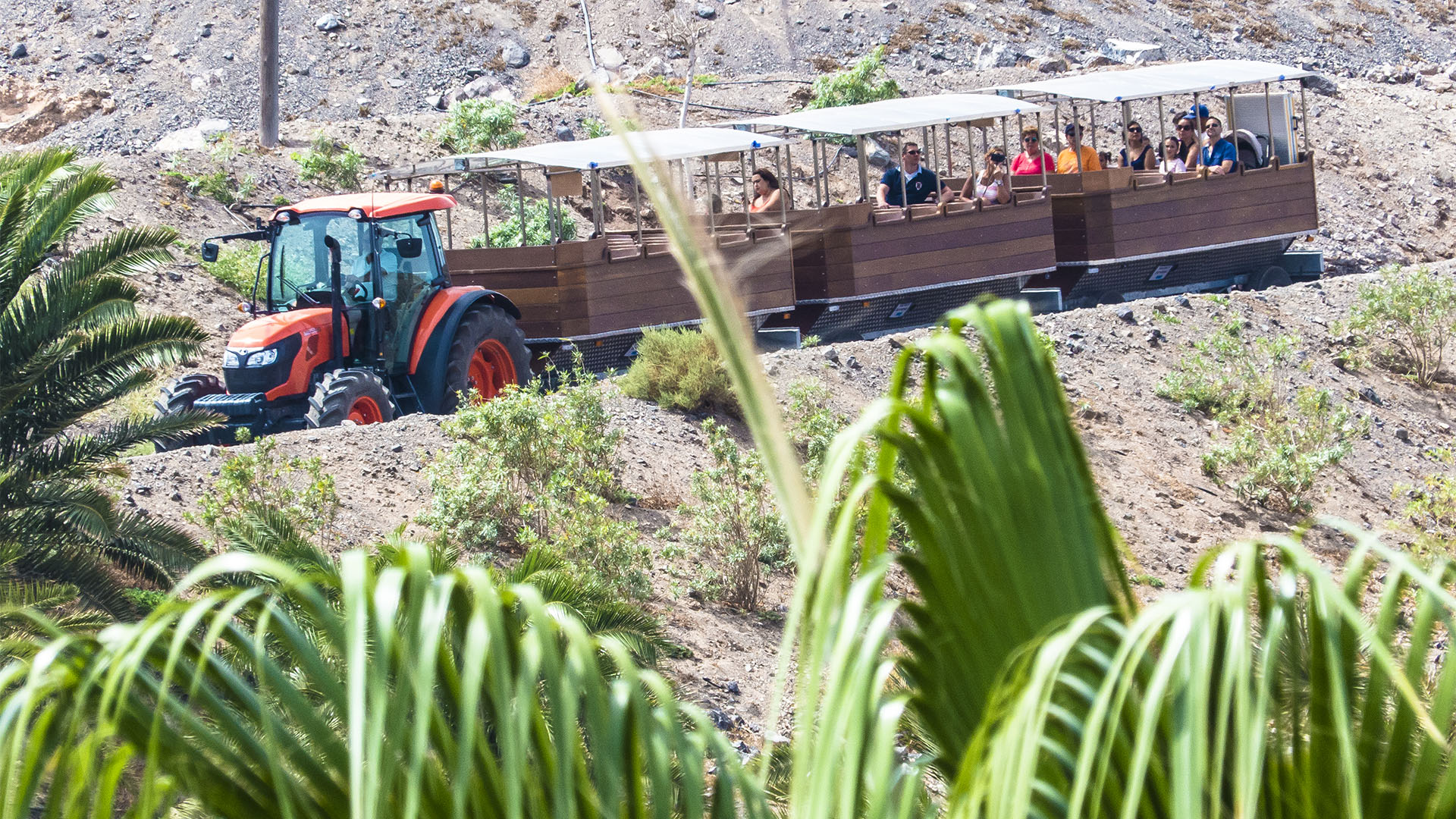 Freizeitparks Fuerteventura: Der Oasis Park in La Lajita – Tier- und Pflanzenwelt.