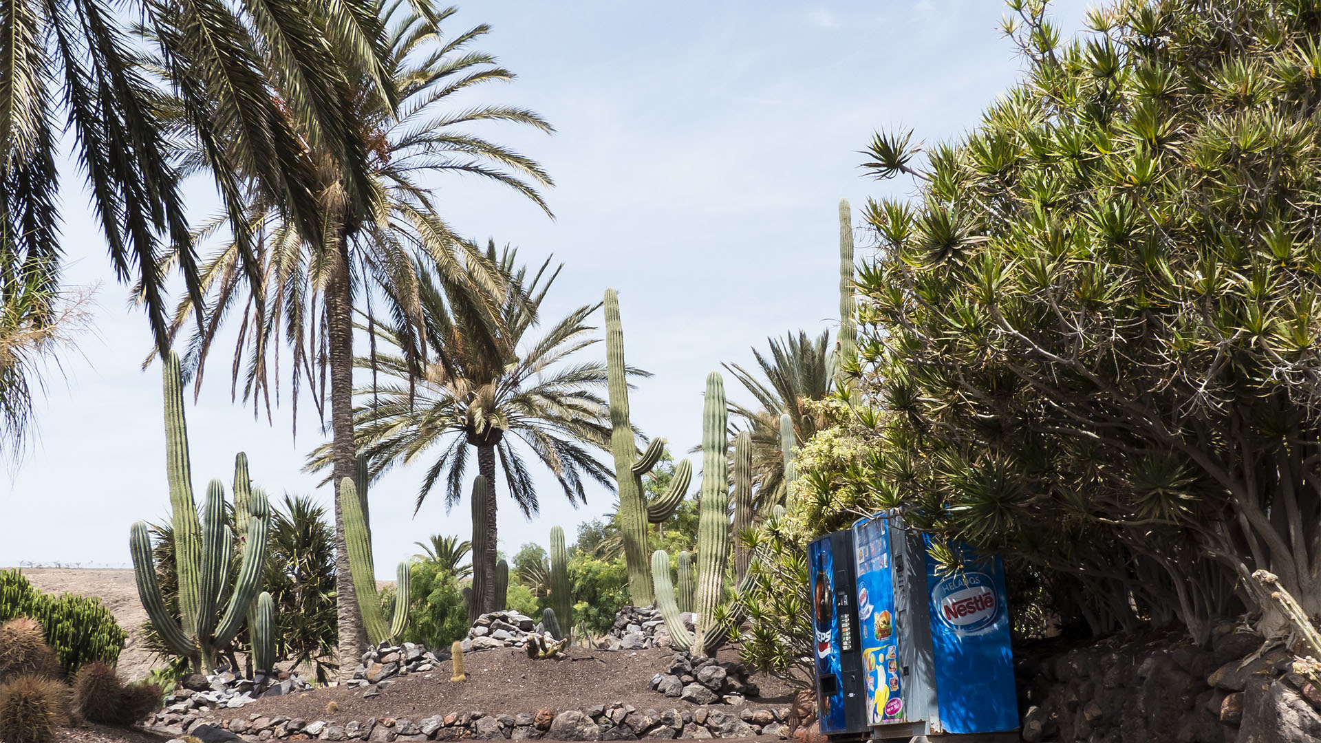 Freizeitparks Fuerteventura: Der Oasis Park in La Lajita – Tier- und Pflanzenwelt.