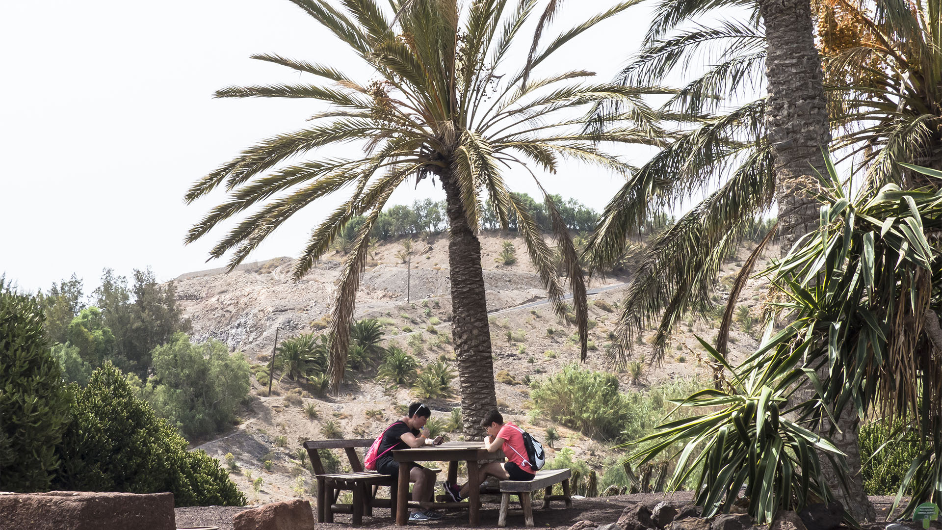 Freizeitparks Fuerteventura: Der Oasis Park in La Lajita – Tier- und Pflanzenwelt.