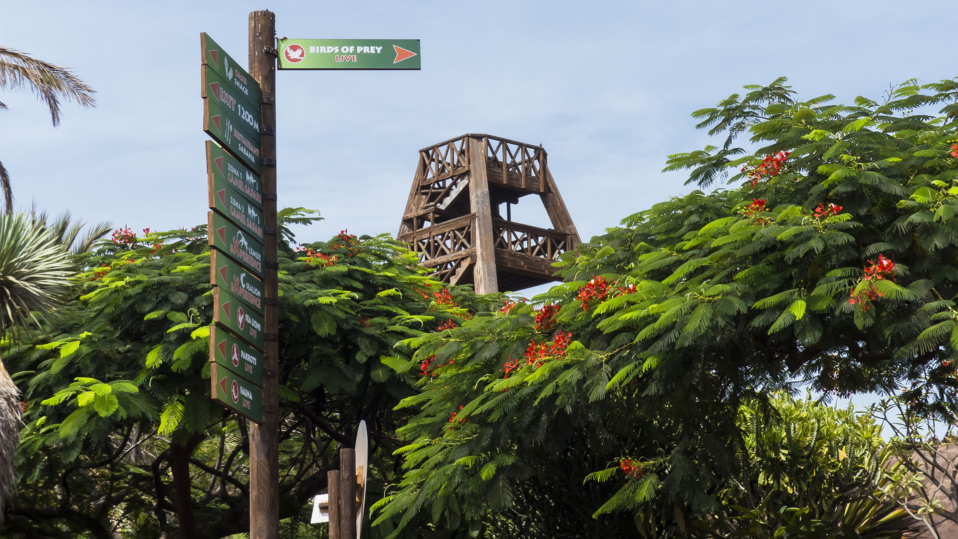 Freizeitparks Fuerteventura: Der Oasis Park in La Lajita – Tier- und Pflanzenwelt.