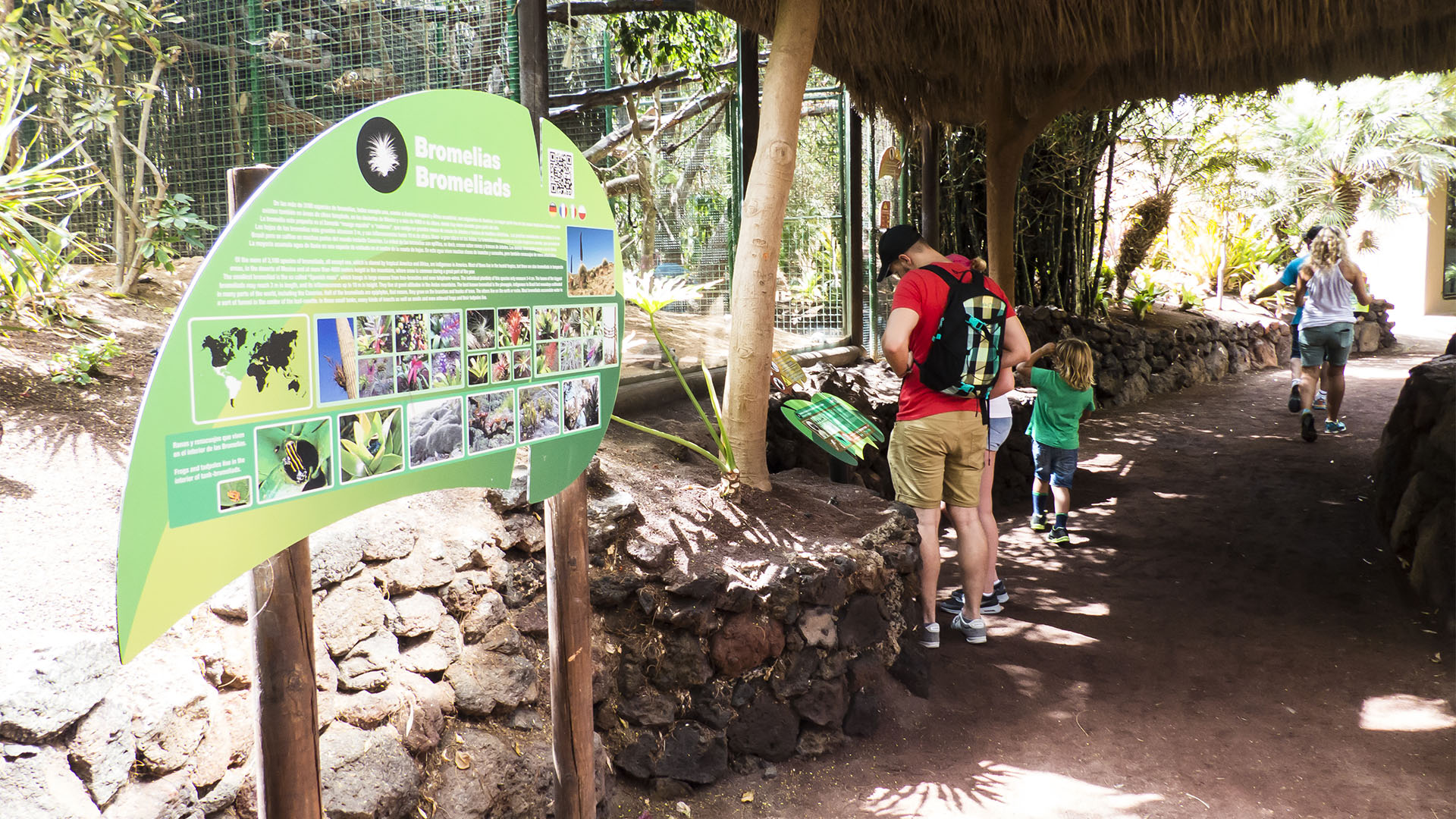 Freizeitparks Fuerteventura: Der Oasis Park in La Lajita – Tier- und Pflanzenwelt.