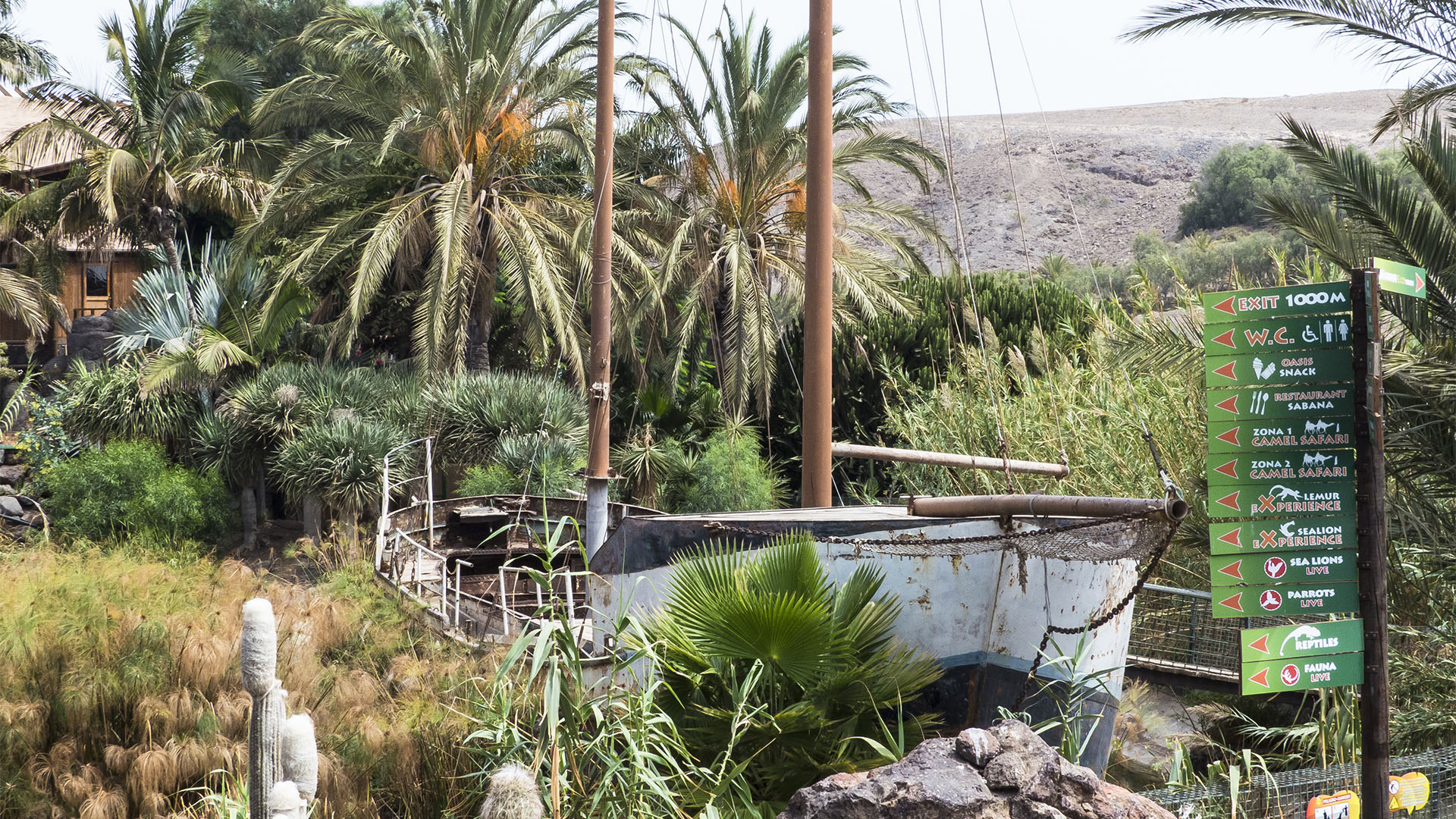 Freizeitparks Fuerteventura: Der Oasis Park in La Lajita – Tier- und Pflanzenwelt.