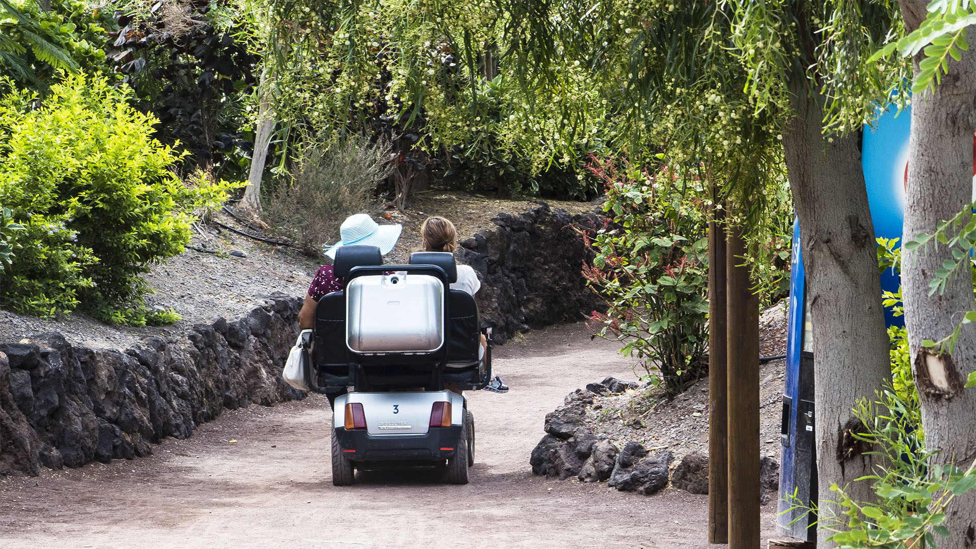 Freizeitparks Fuerteventura: Der Oasis Park in La Lajita – Tier- und Pflanzenwelt.